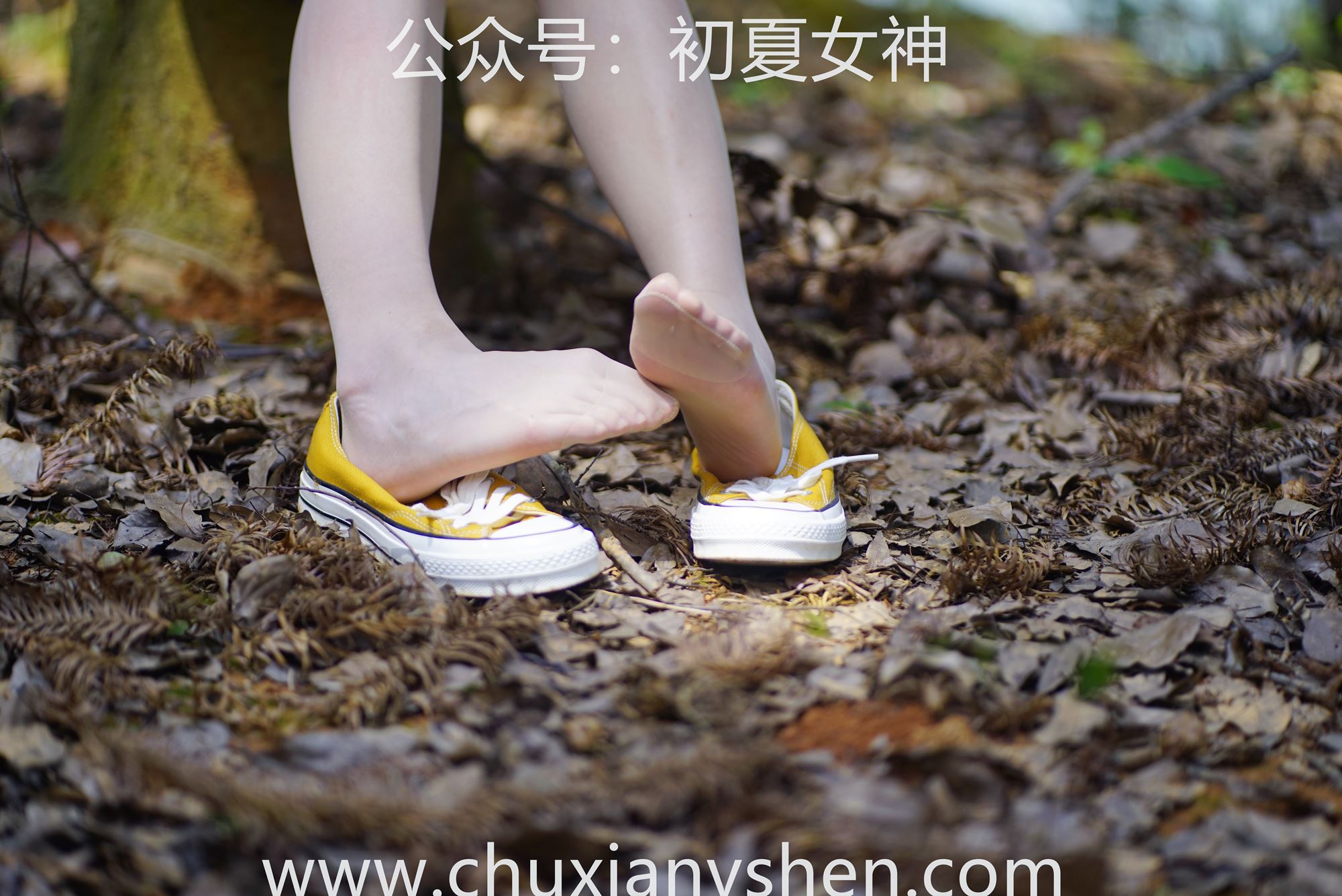 图片[73]-初夏女神 NO.049 大发 山野大发[132P] – 速更版-美库