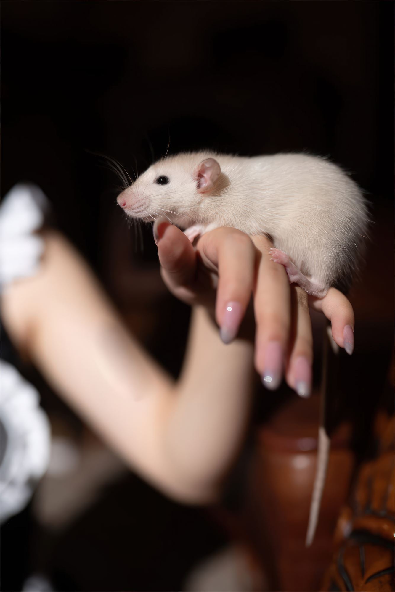 图片[32]-花铃 – 马戏团芭蕾 吊带袜高叉[40P] – 速更版-美库