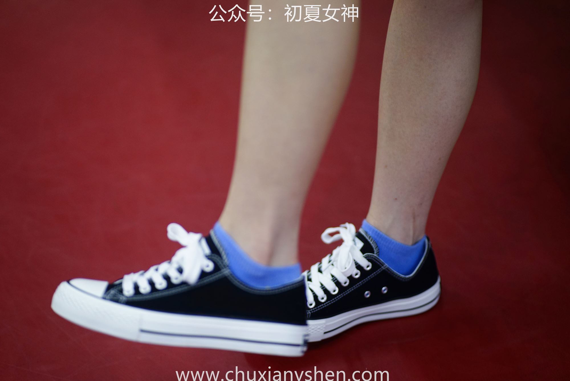 图片[53]-初夏女神 NO.053 大发 青春无限[266P] – 速更版-美库