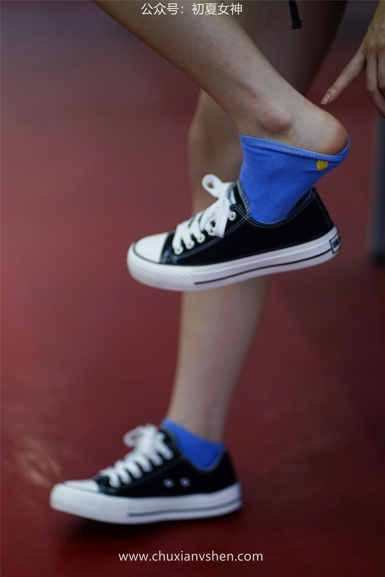 图片[55]-初夏女神 NO.053 大发 青春无限[266P] – 速更版-美库