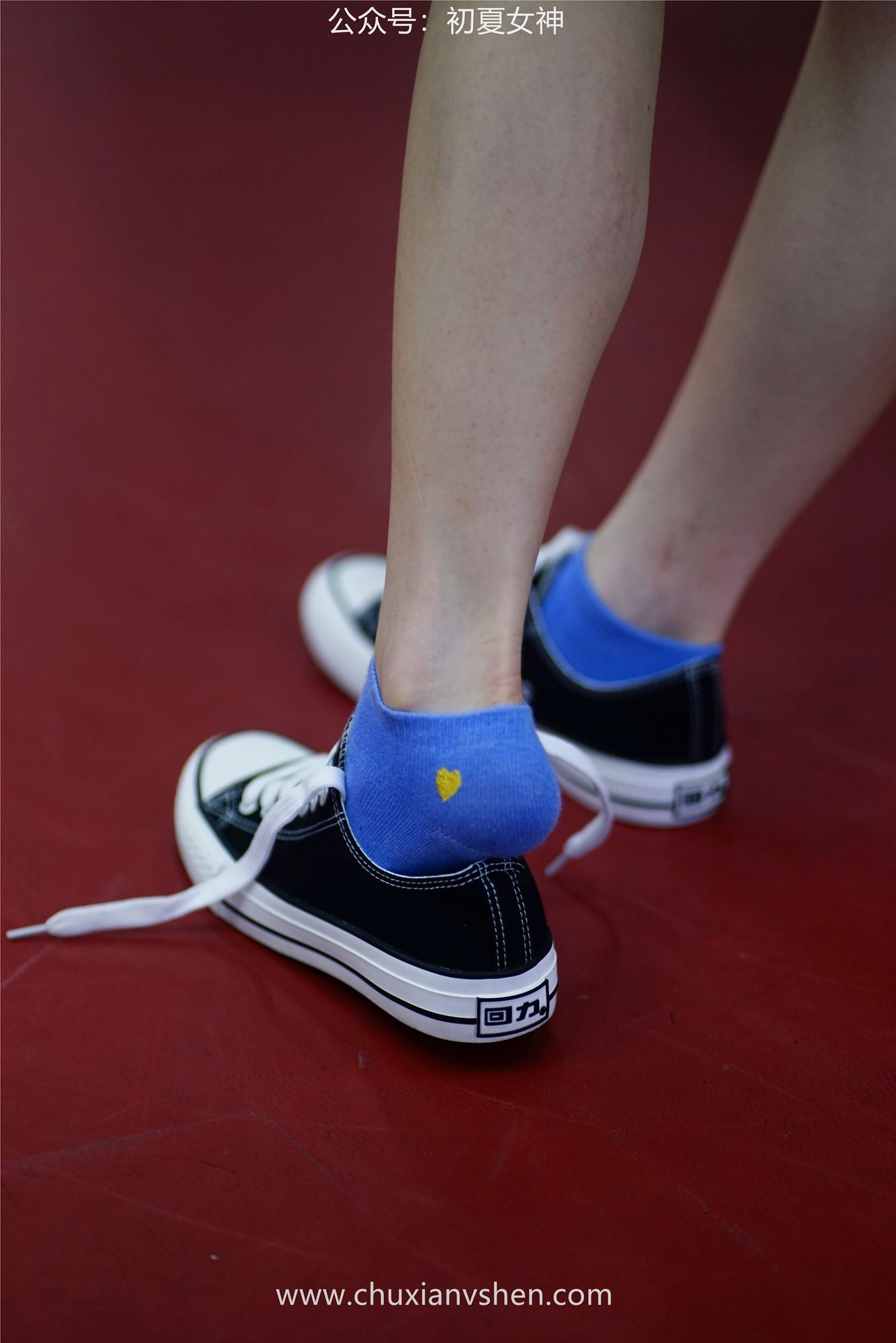 图片[69]-初夏女神 NO.053 大发 青春无限[266P] – 速更版-美库