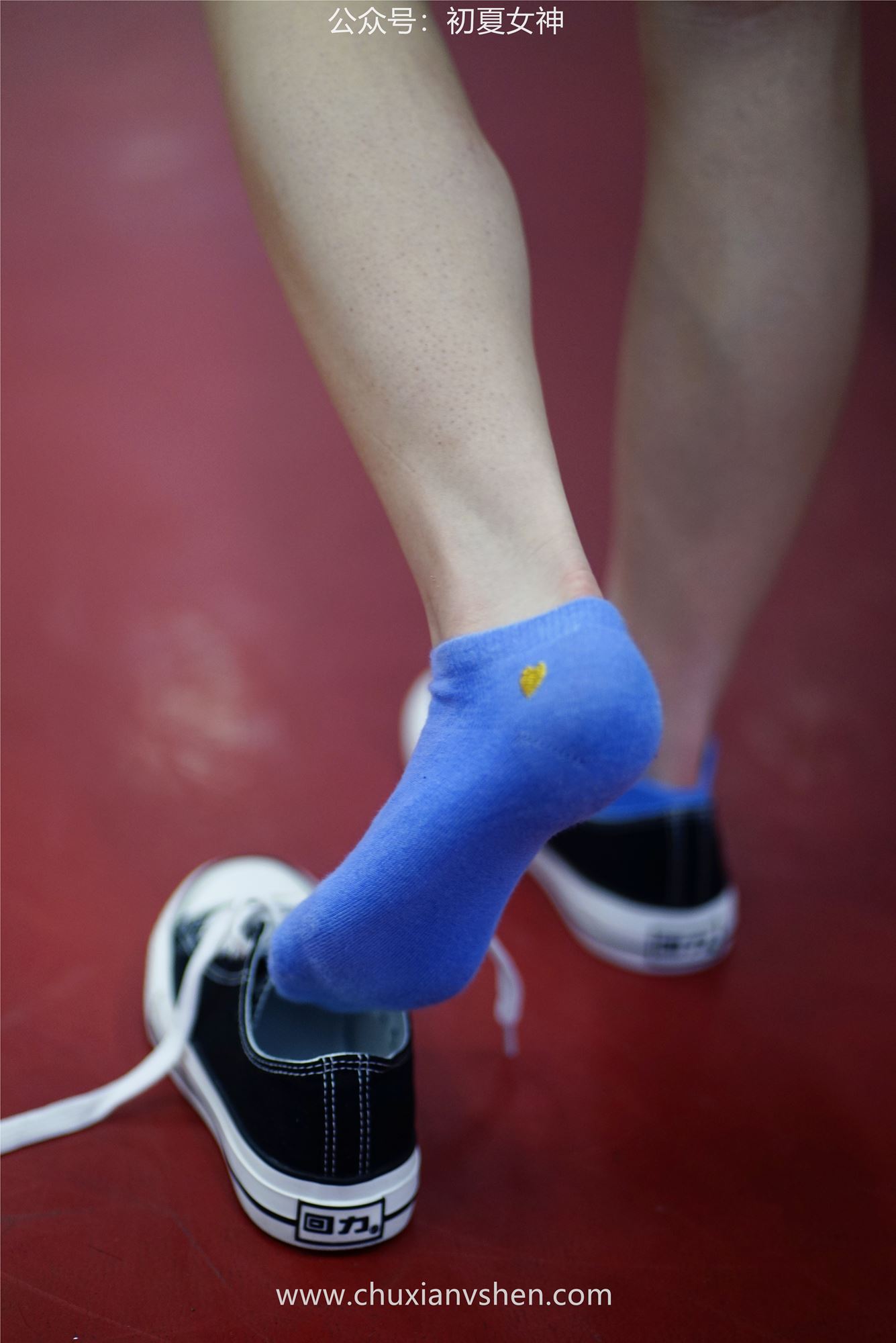 图片[73]-初夏女神 NO.053 大发 青春无限[266P] – 速更版-美库