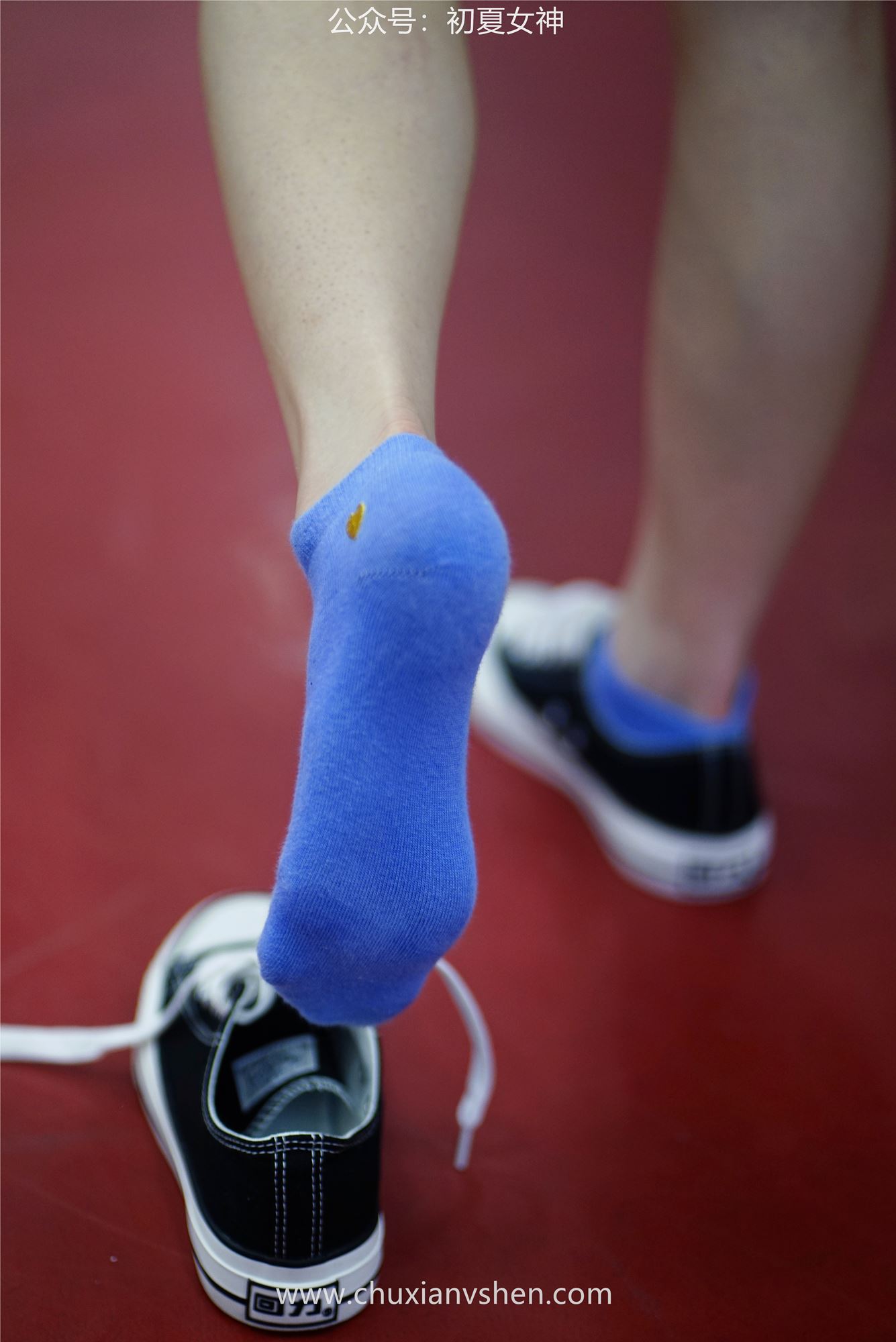 图片[76]-初夏女神 NO.053 大发 青春无限[266P] – 速更版-美库