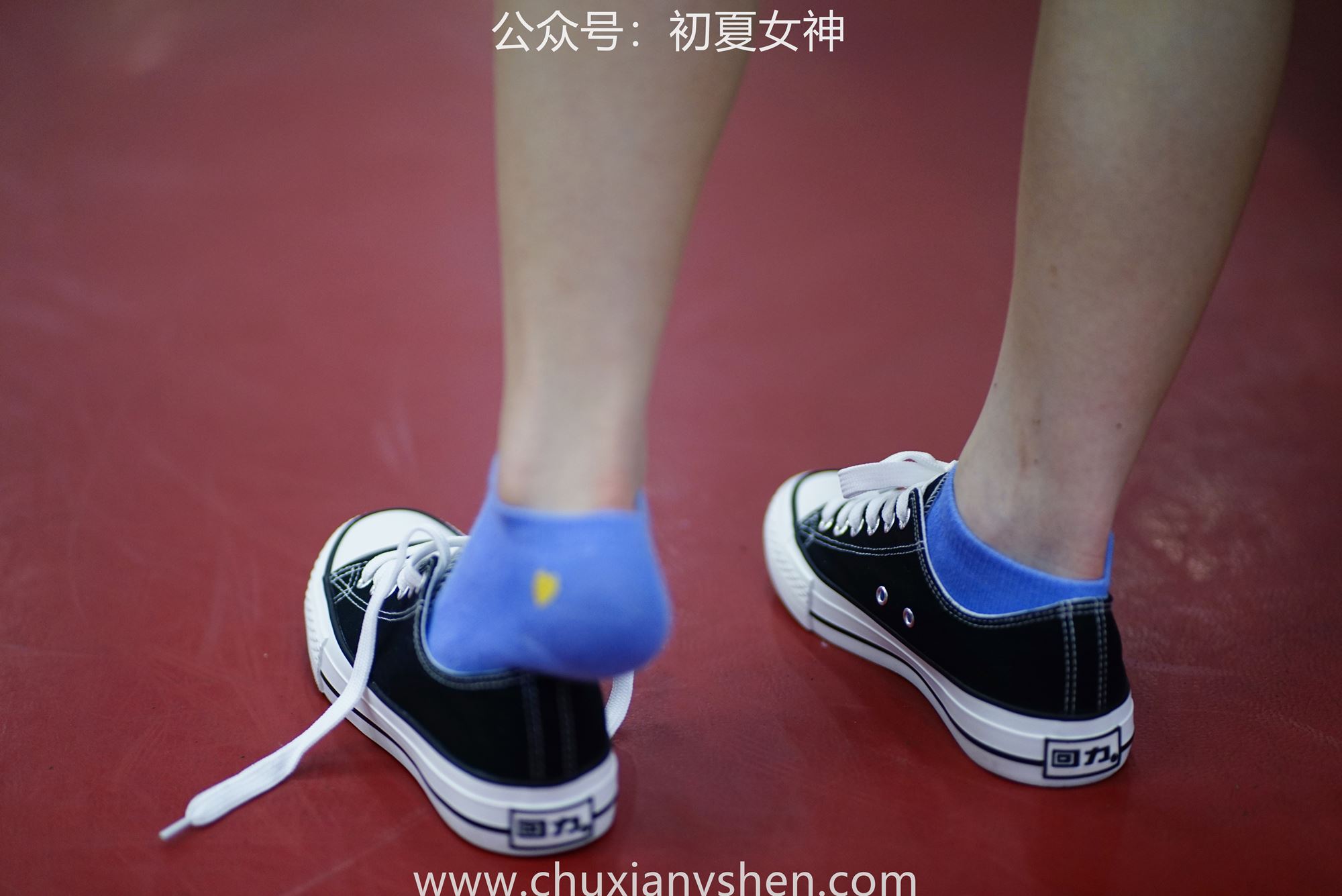 图片[77]-初夏女神 NO.053 大发 青春无限[266P] – 速更版-美库