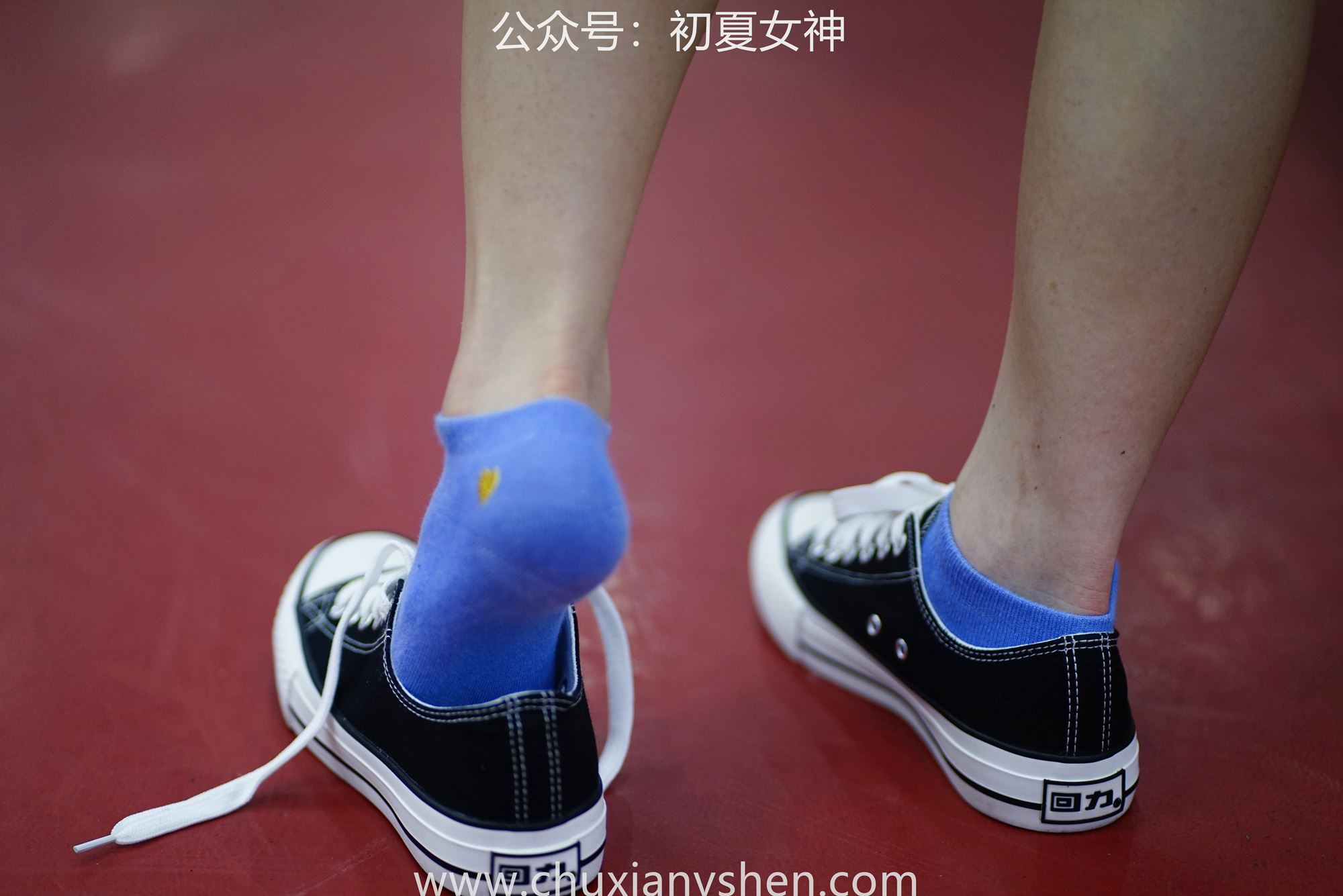 图片[78]-初夏女神 NO.053 大发 青春无限[266P] – 速更版-美库