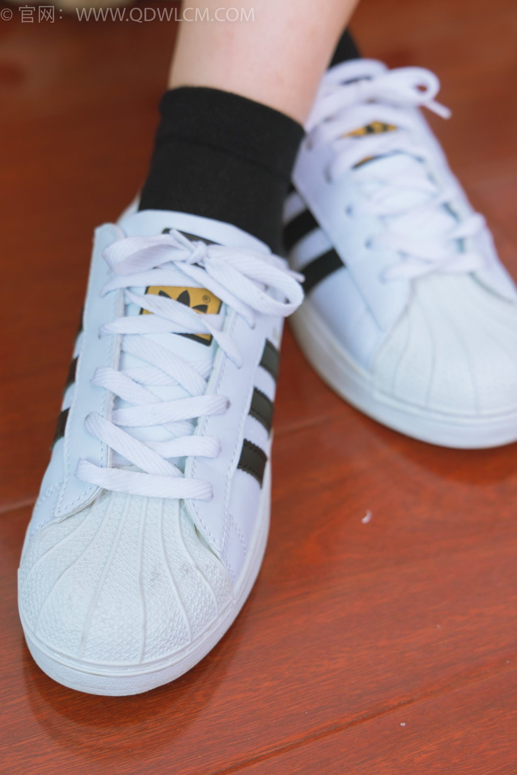 图片[24]-物恋传媒 NO.1716 美兔-纯白山茶花[148P] – 速更版-美库