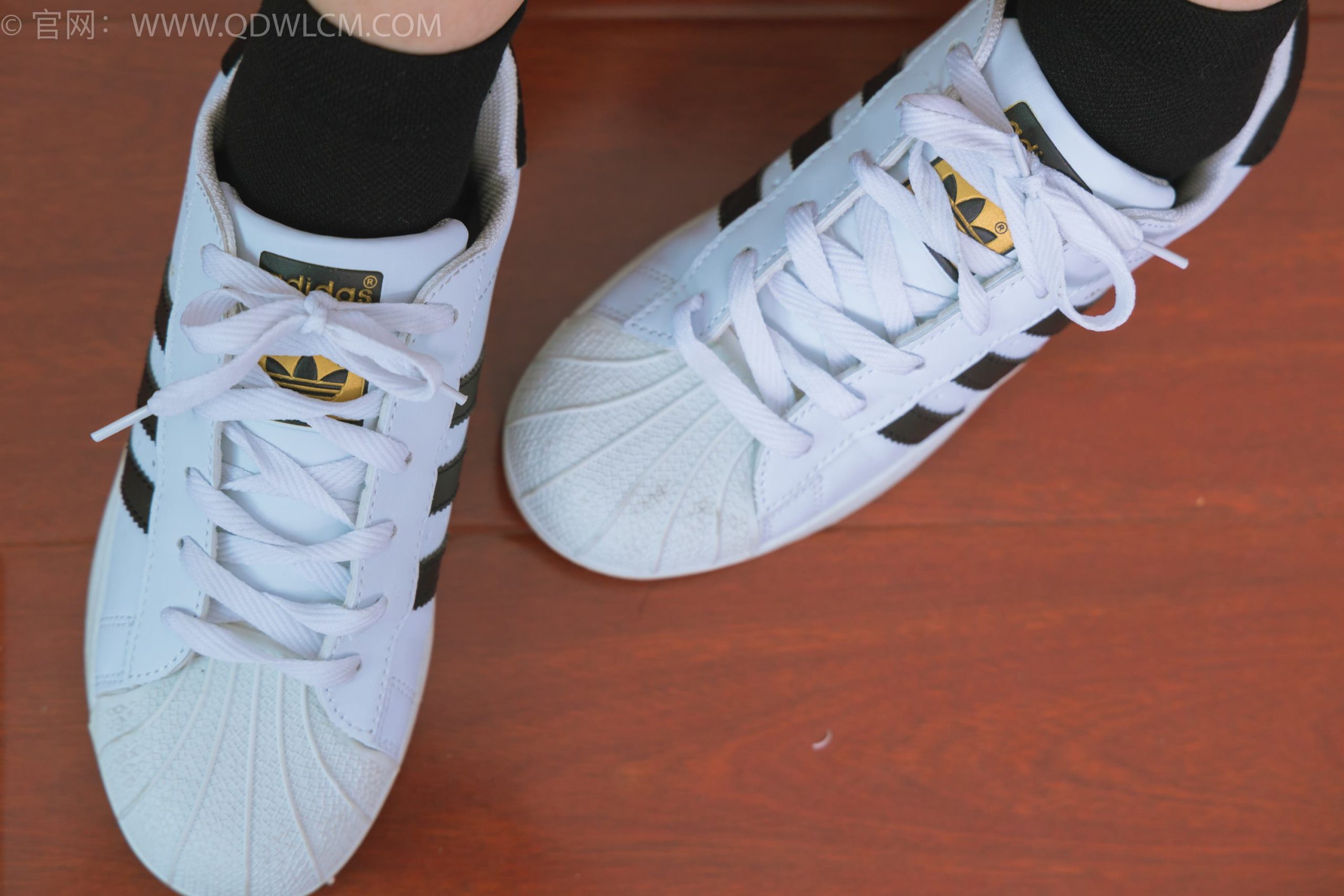 图片[28]-物恋传媒 NO.1716 美兔-纯白山茶花[148P] – 速更版-美库