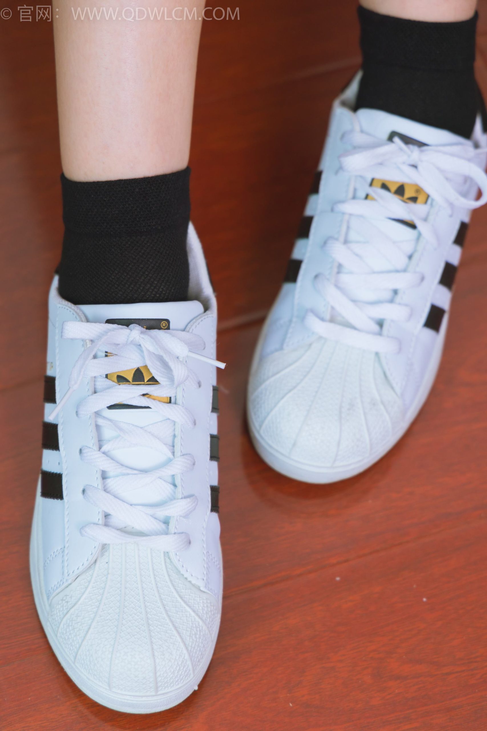 图片[42]-物恋传媒 NO.1716 美兔-纯白山茶花[148P] – 速更版-美库