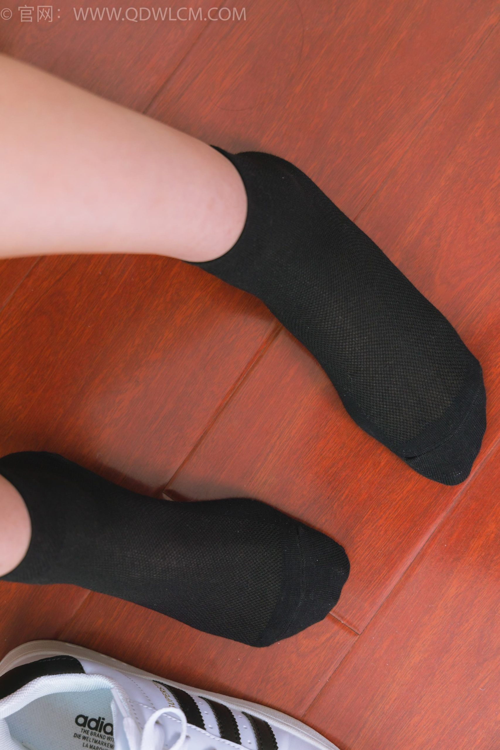 图片[74]-物恋传媒 NO.1716 美兔-纯白山茶花[148P] – 速更版-美库