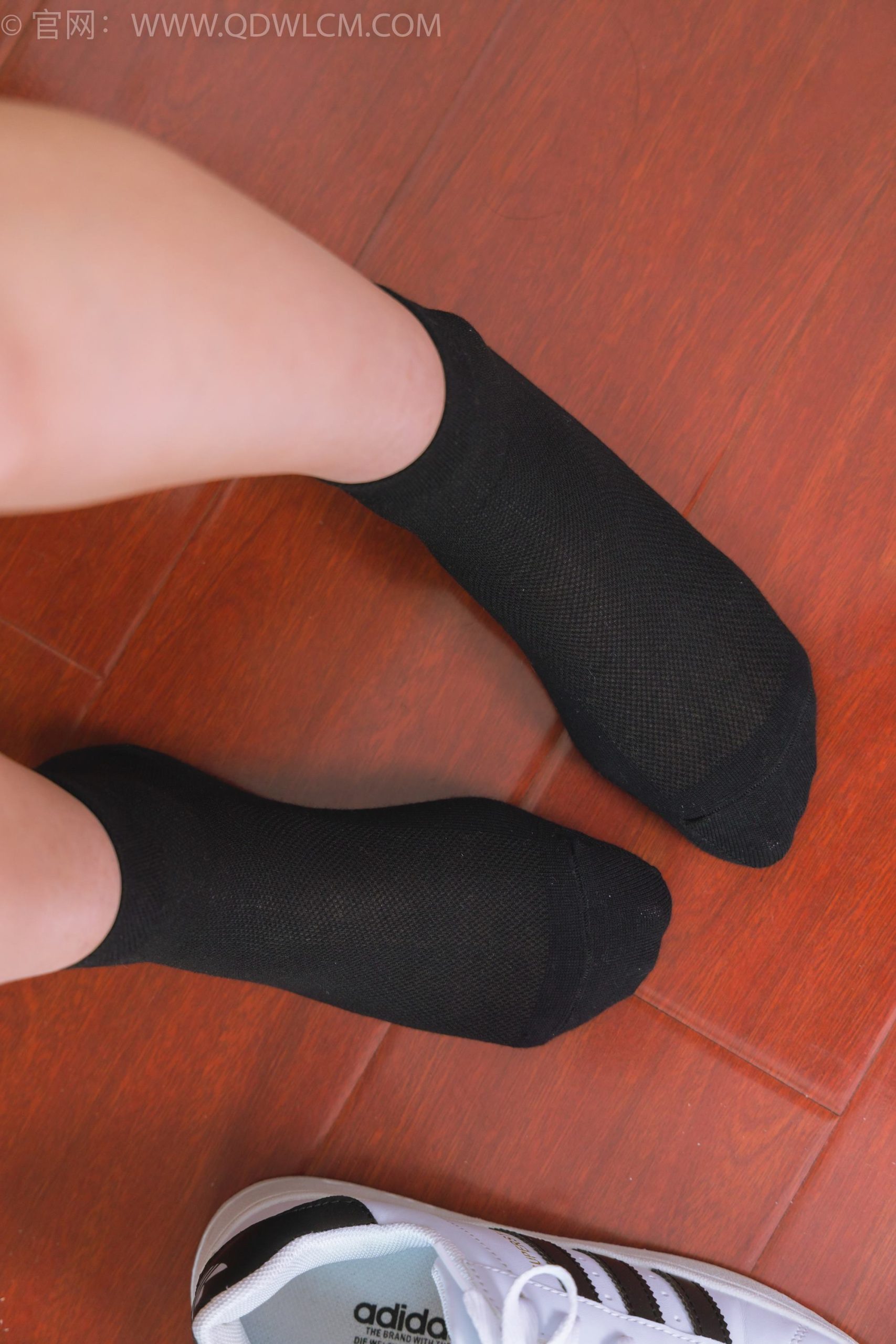 图片[75]-物恋传媒 NO.1716 美兔-纯白山茶花[148P] – 速更版-美库