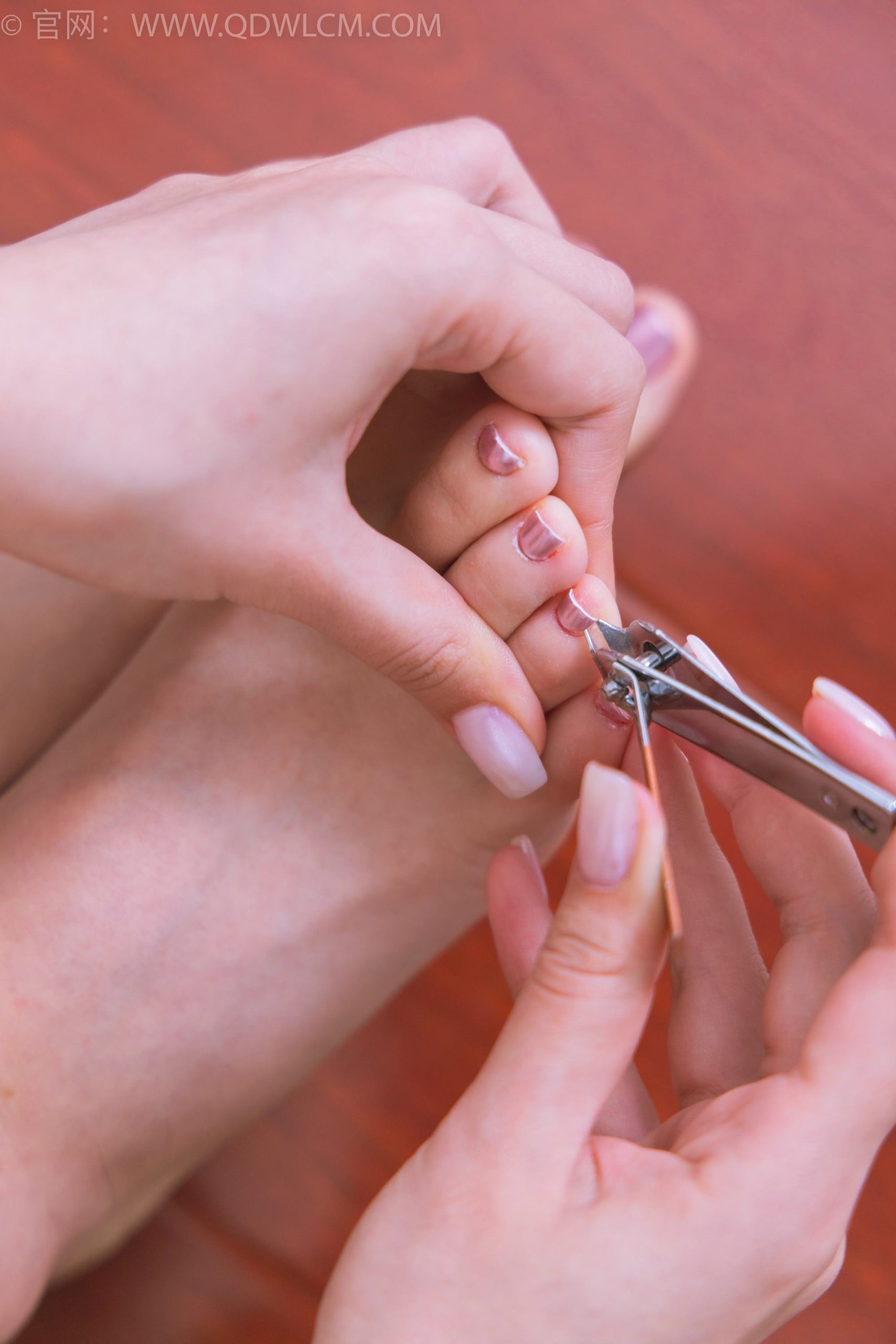 图片[113]-物恋传媒 NO.1716 美兔-纯白山茶花[148P] – 速更版-美库