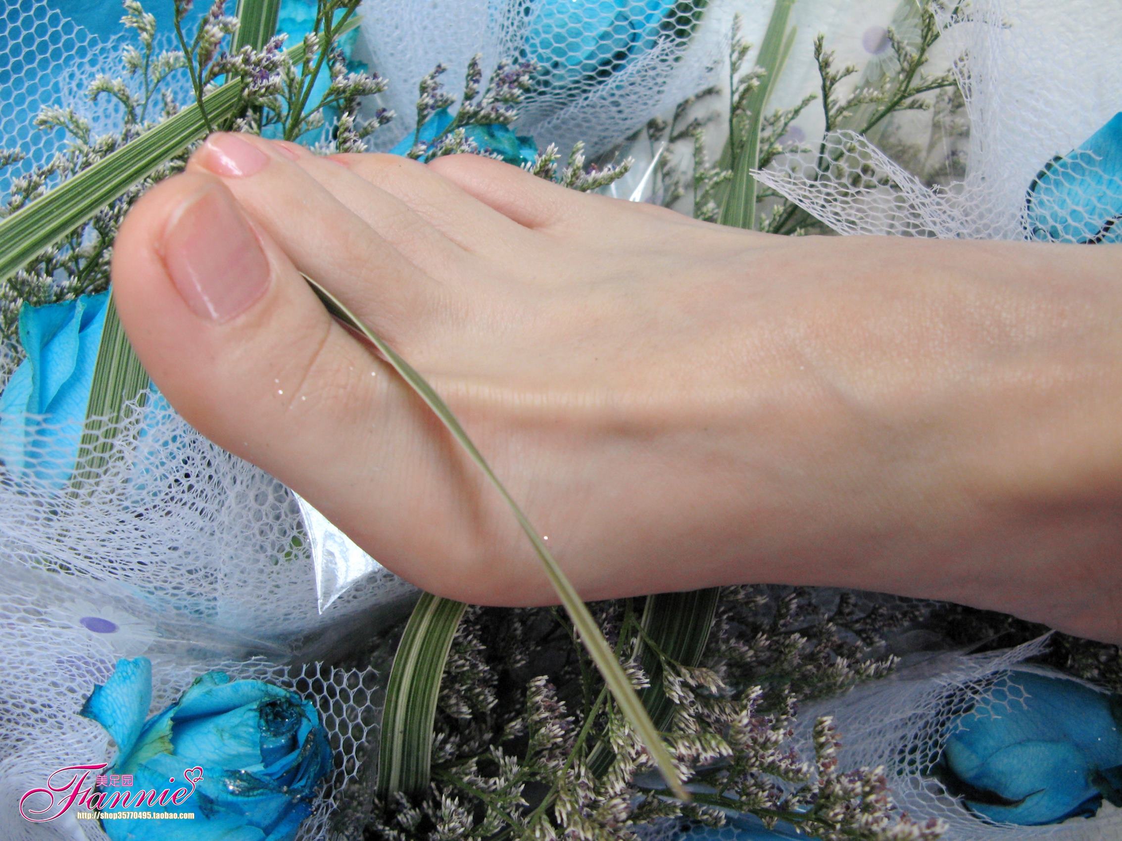 图片[29]-Fannie芬妮每足园 No.245 蓝色魅音 蓝色相思海（裸足） [190P] – 速更版-美库