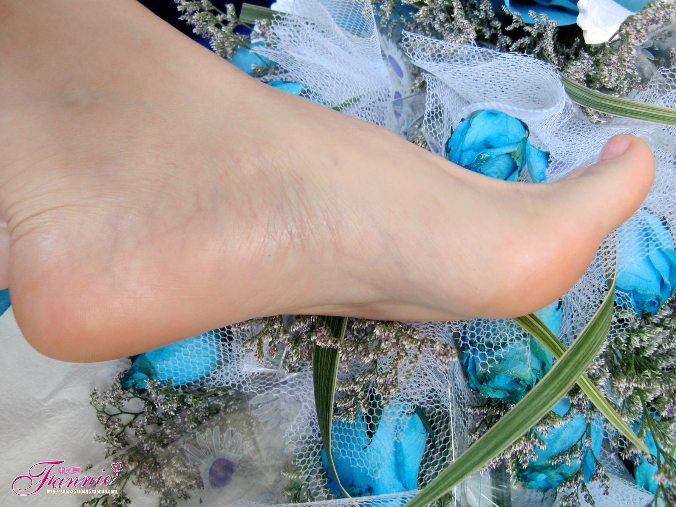 图片[36]-Fannie芬妮每足园 No.245 蓝色魅音 蓝色相思海（裸足） [190P] – 速更版-美库
