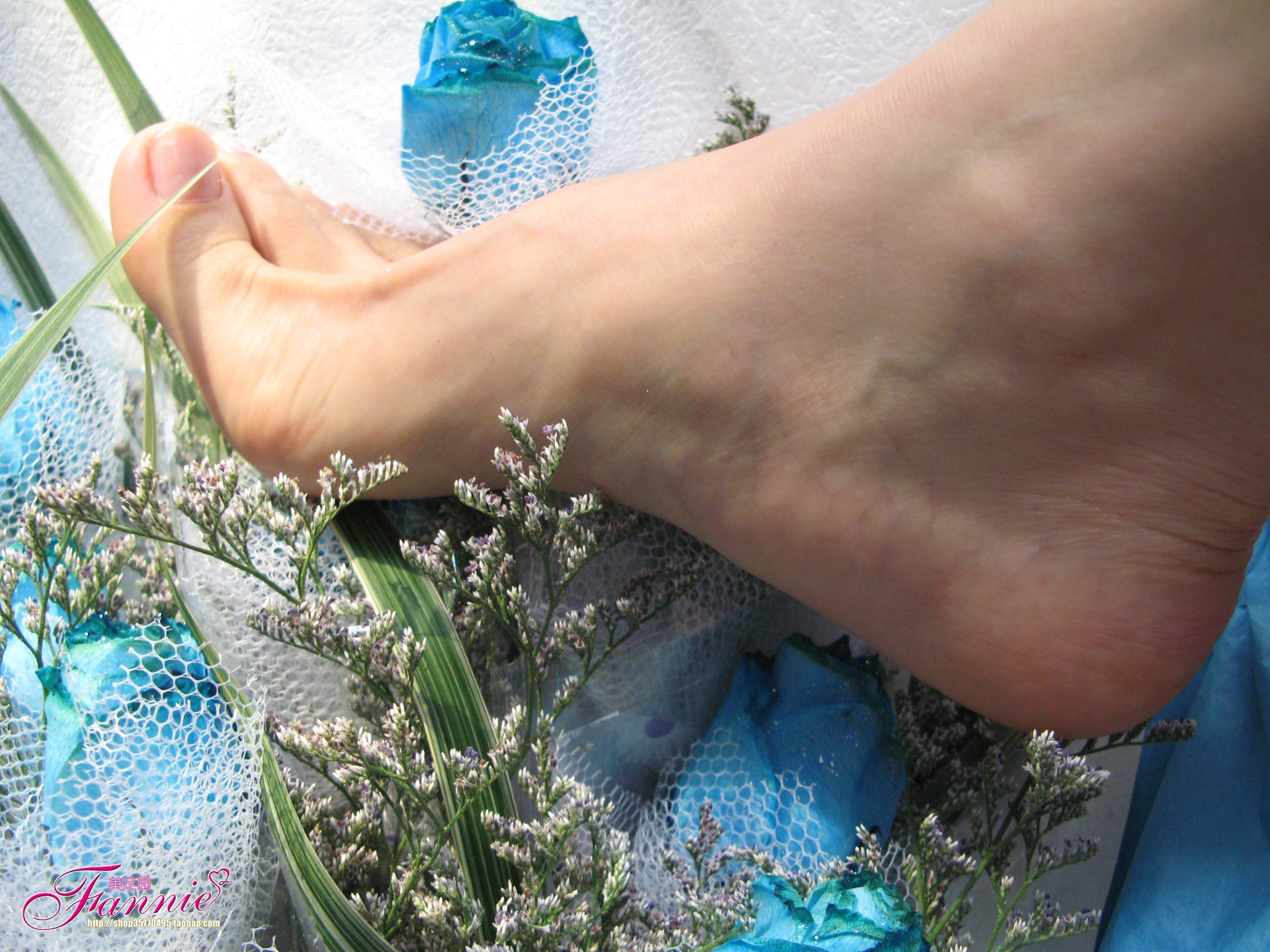 图片[49]-Fannie芬妮每足园 No.245 蓝色魅音 蓝色相思海（裸足） [190P] – 速更版-美库