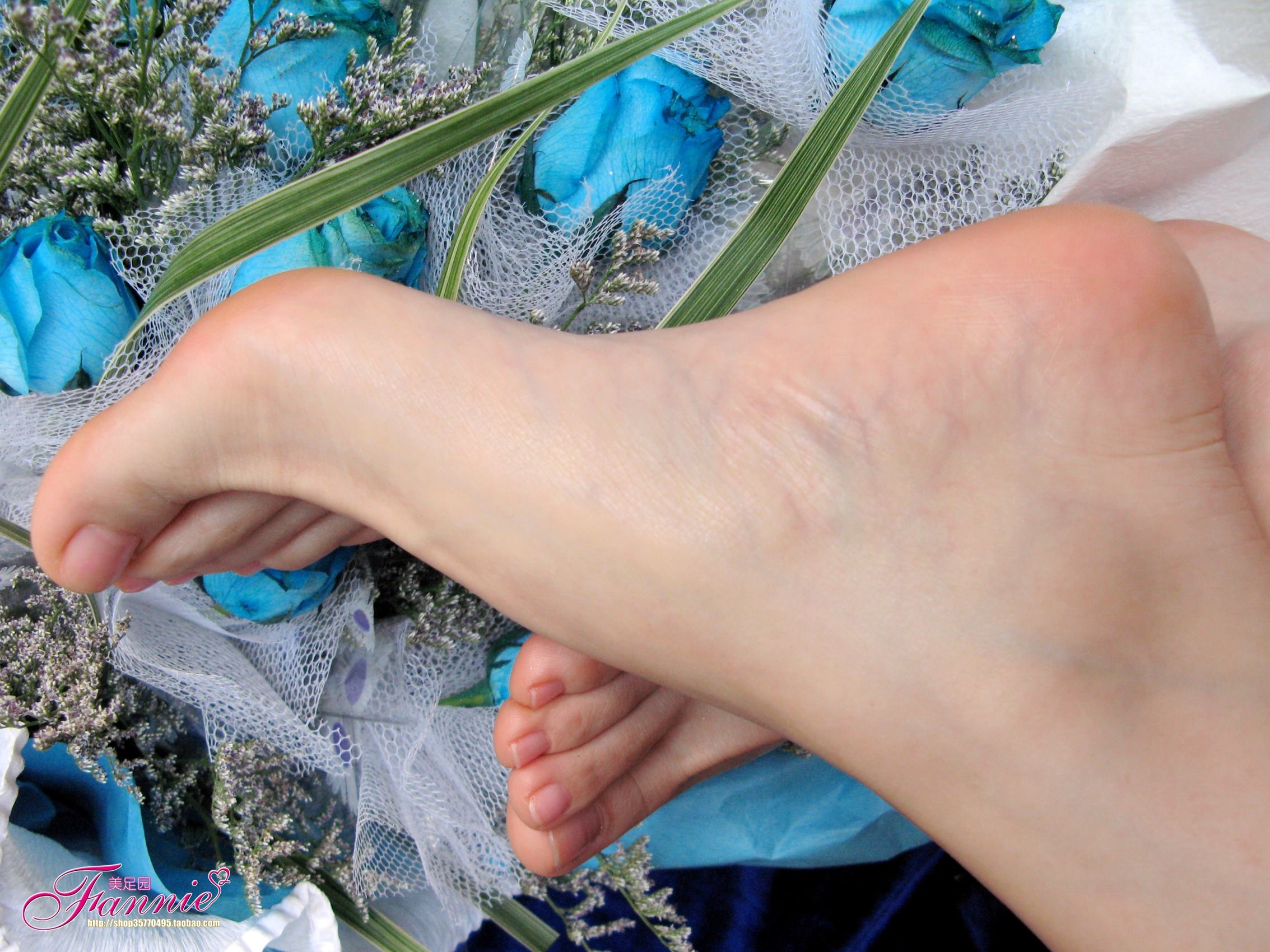 图片[60]-Fannie芬妮每足园 No.245 蓝色魅音 蓝色相思海（裸足） [190P] – 速更版-美库