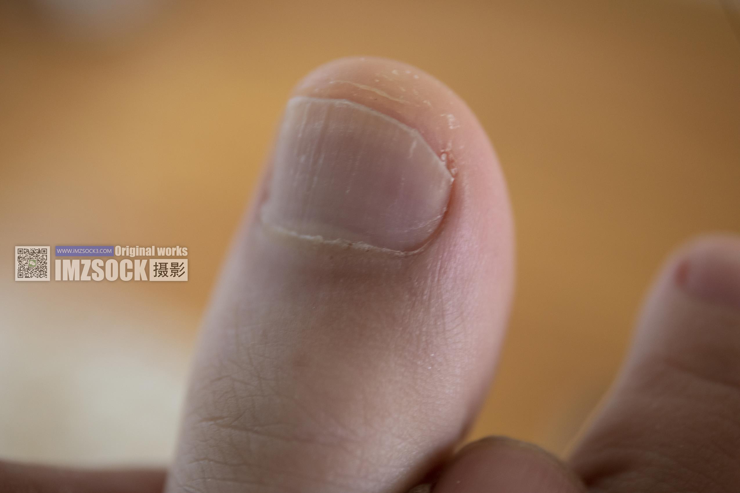 图片[57]-[MZSOCK]爱美足 NO.228 蕊子[93P] – 速更版-美库