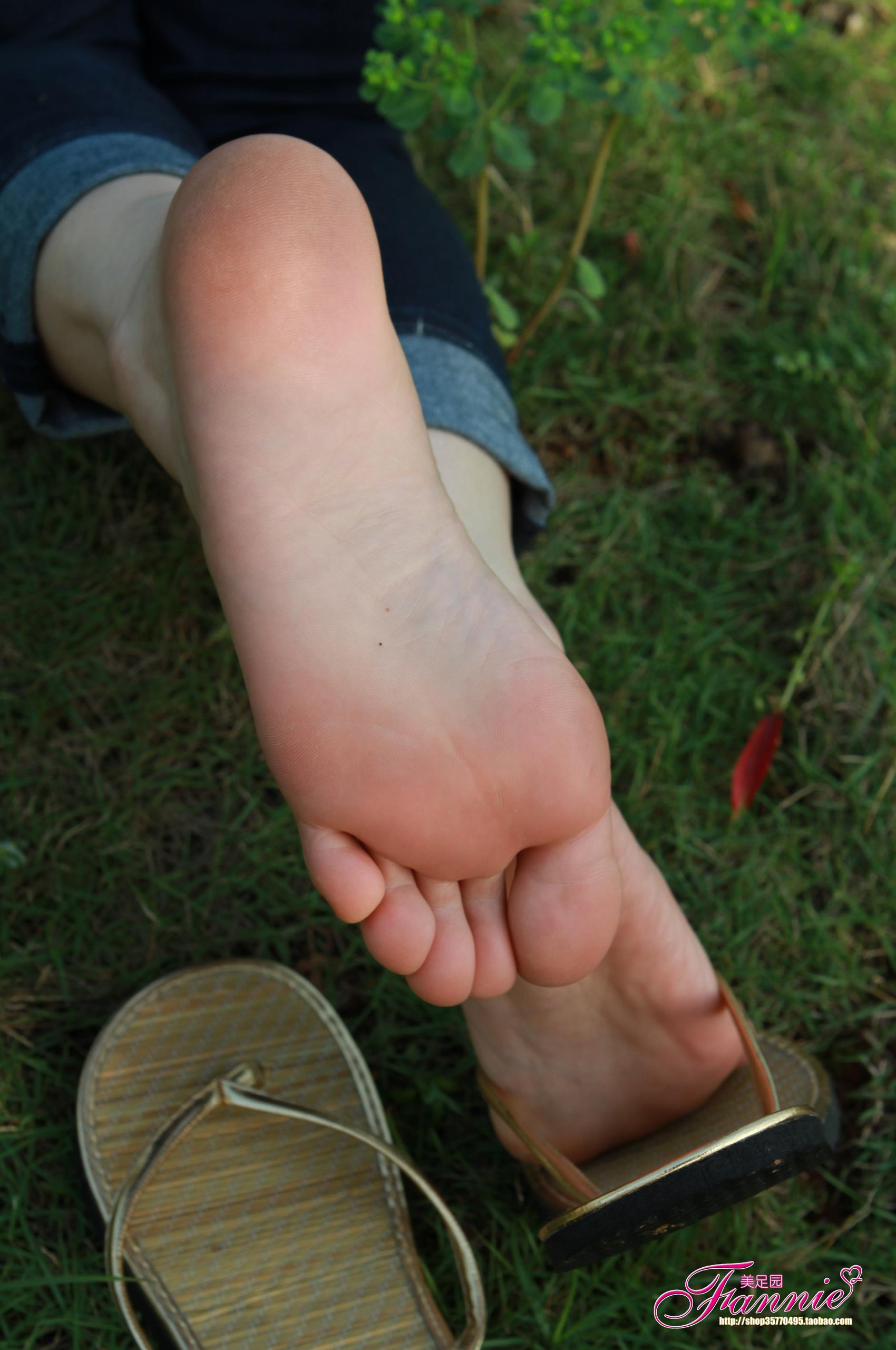 图片[31]-Fannie芬妮每足园 No.290 绿野芳踪 [41P] – 速更版-美库