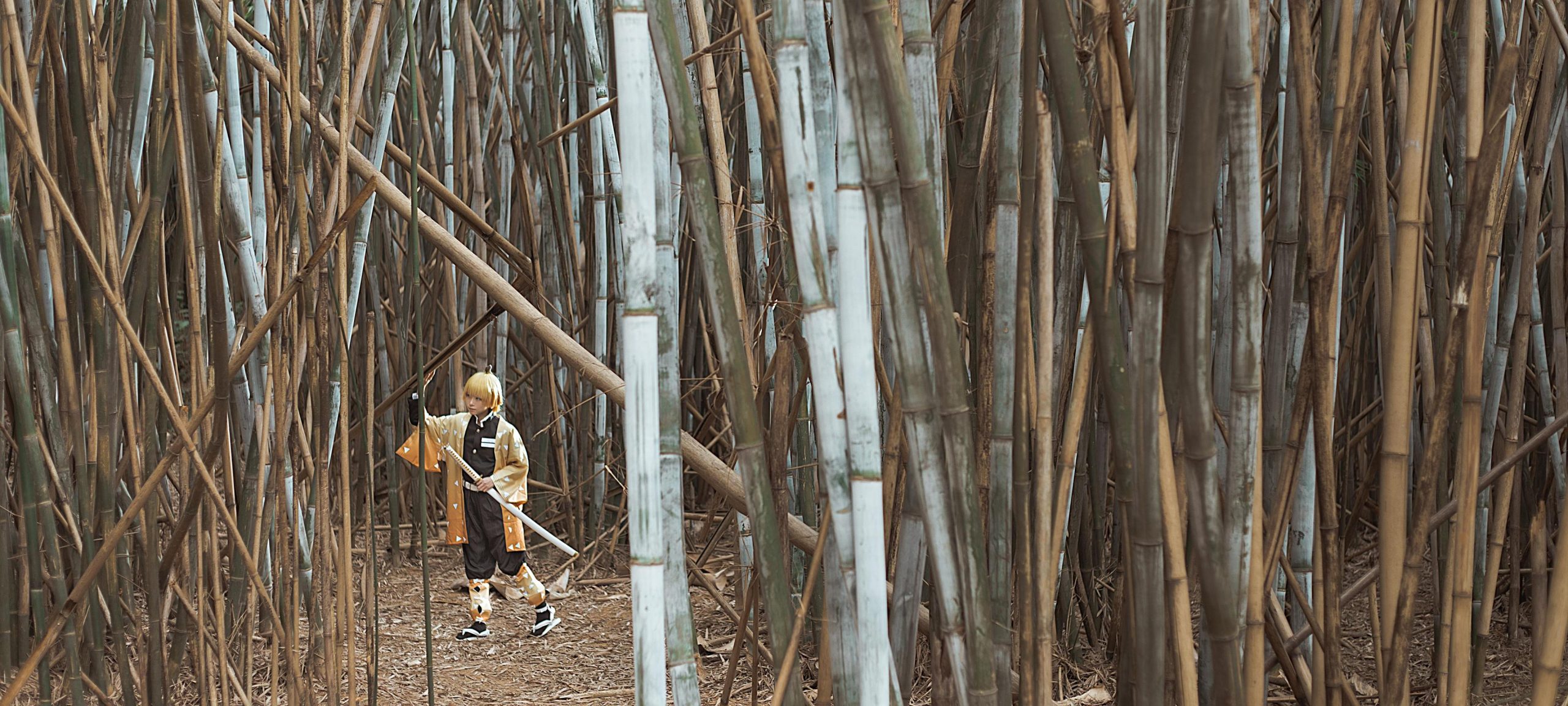 图片[22]-人气Coser@Kitaro_绮太郎 鬼灭之刃 我妻善逸[29P] – 速更版-美库