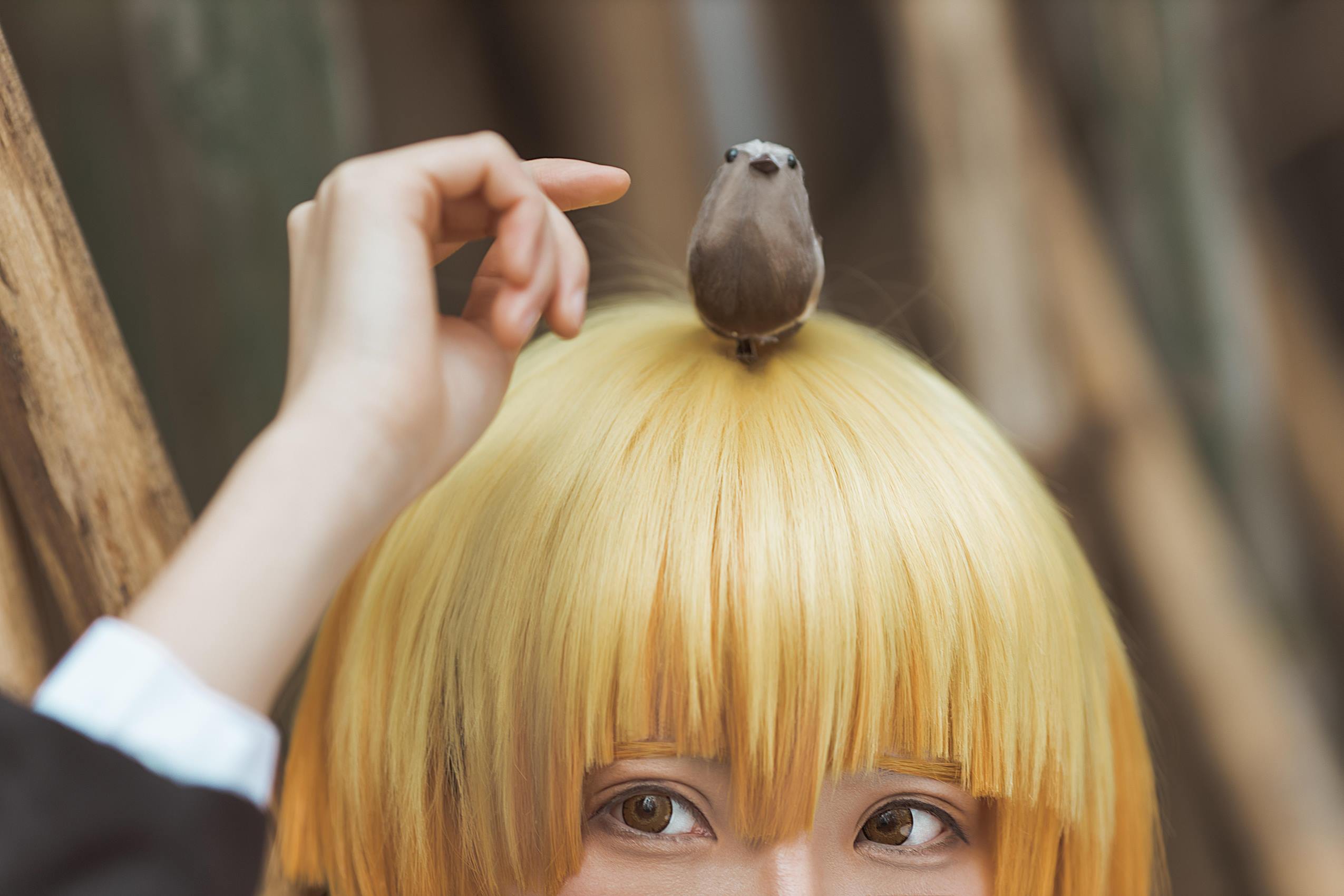 图片[28]-人气Coser@Kitaro_绮太郎 鬼灭之刃 我妻善逸[29P] – 速更版-美库