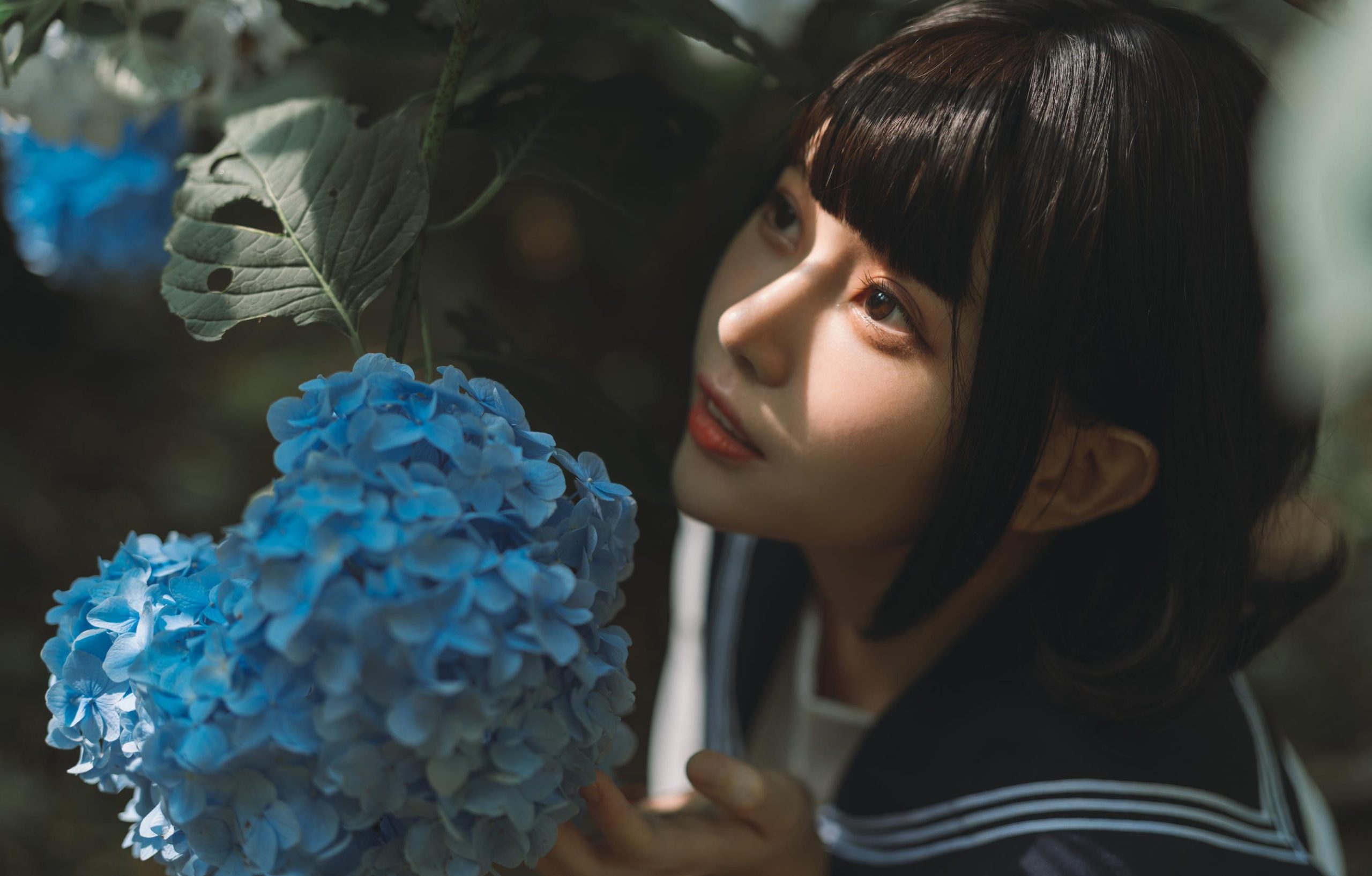 图片[28]-凛子酱 – 紫阳花[27P] – 速更版-美库