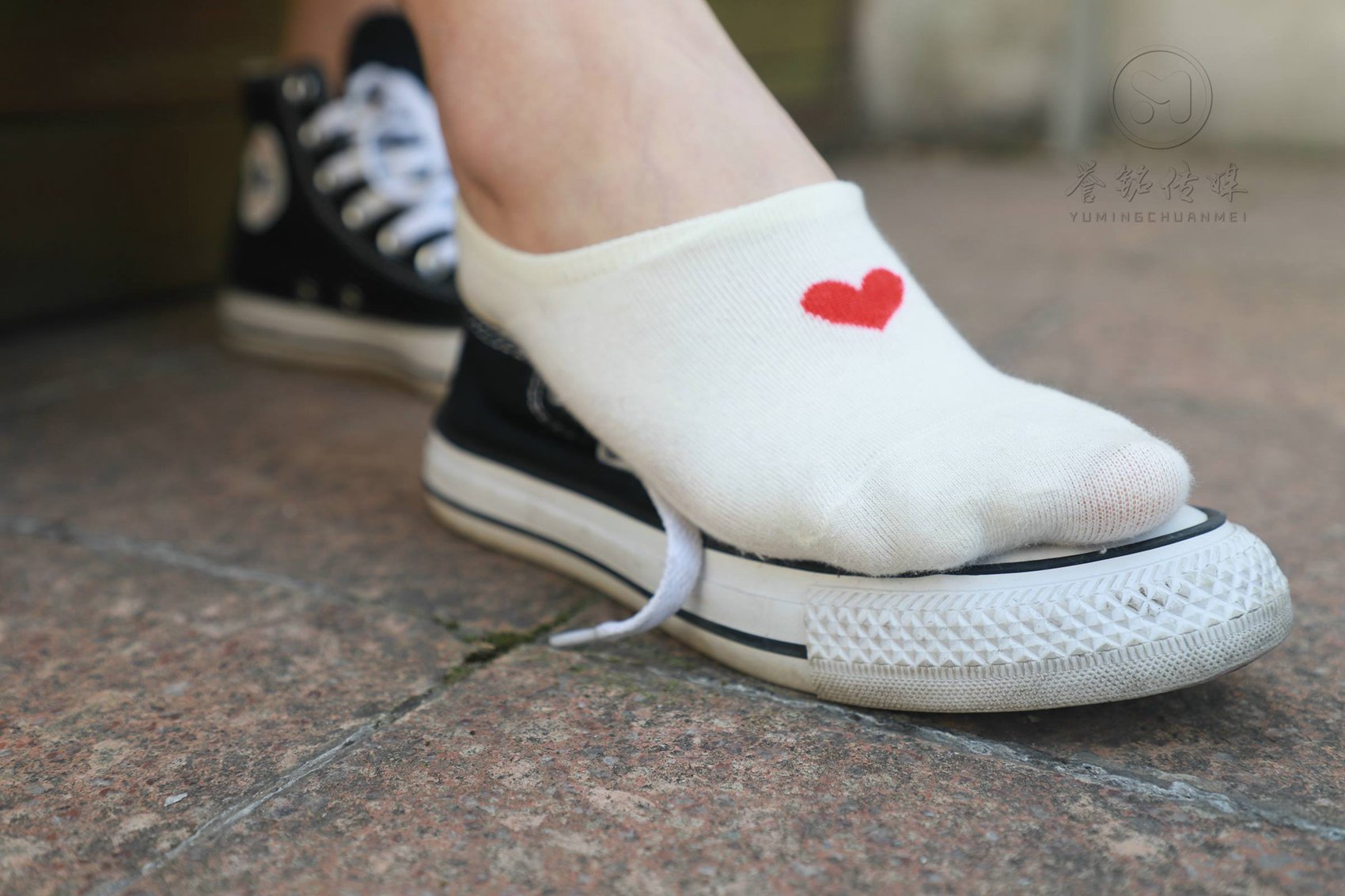 图片[64]-[誉铭传媒]袜足摄影 2019年《2019.05.13定制作品》[164P] – 速更版-美库