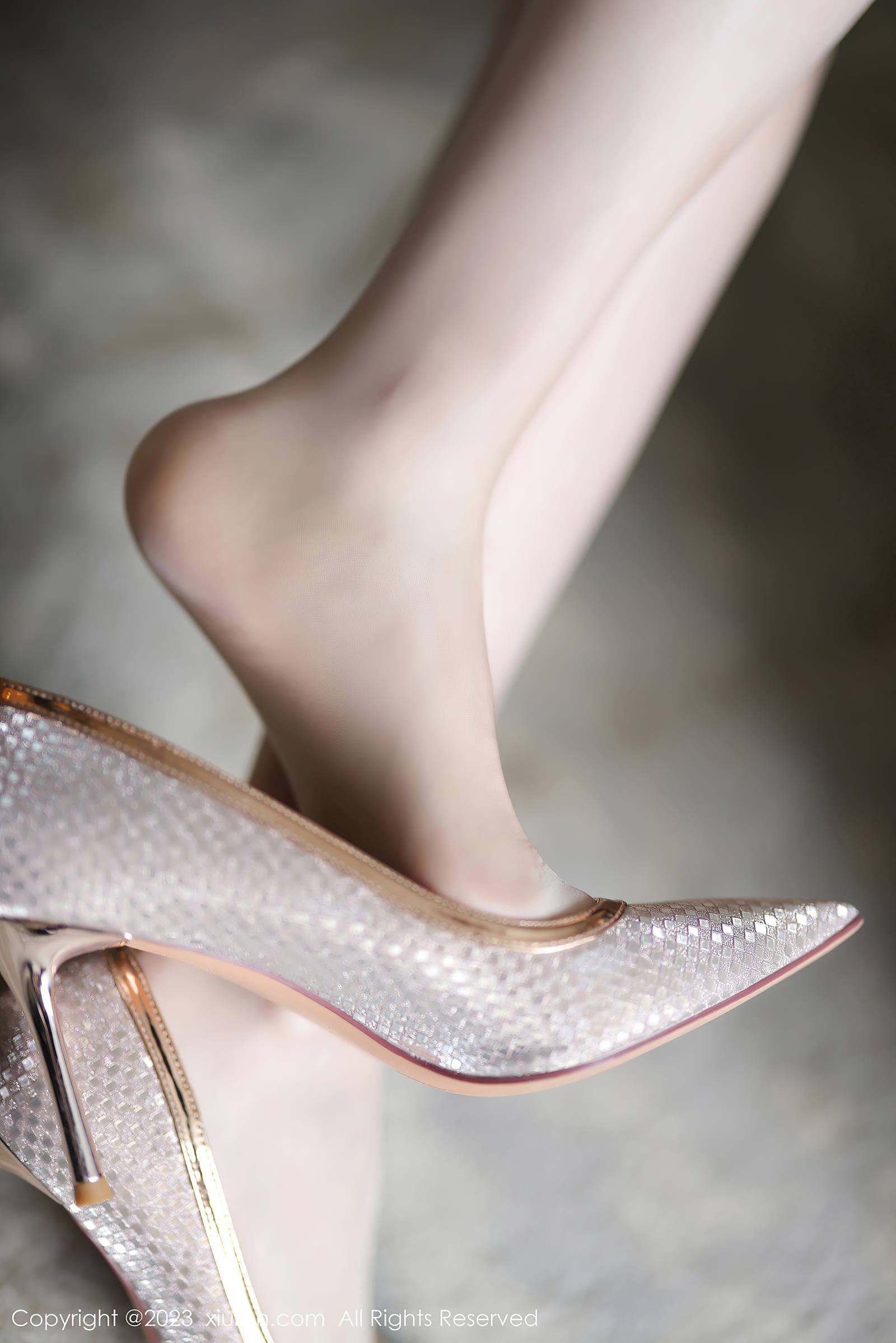 图片[23]-[Xiuren秀人网]2023.11.23 NO.7709 梦心玥 花蕊的样子 [34+1P] – 速更版-美库