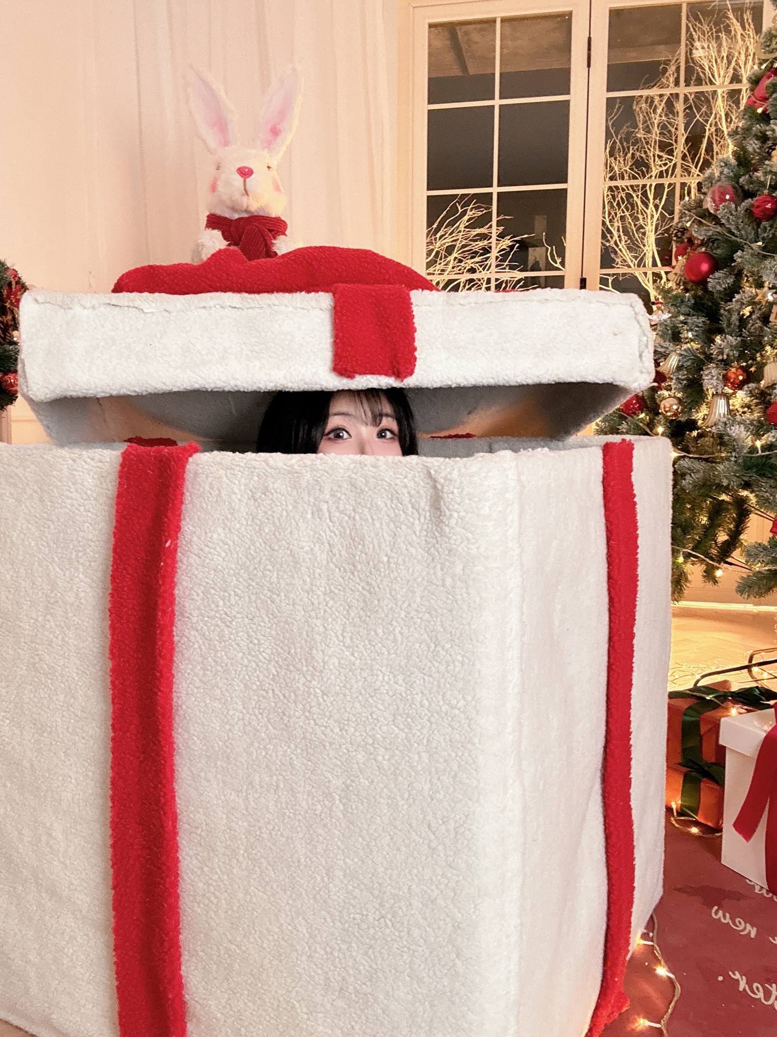 图片[16]-rioko凉凉子 圣诞礼物 [24P] – 速更版-美库