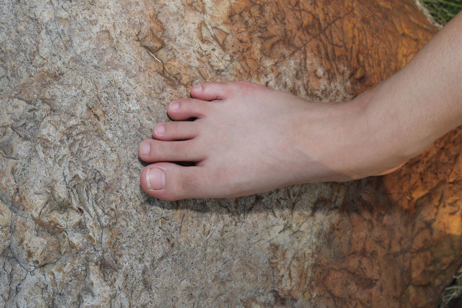 图片[82]-Pary摄影 NO.110 大学生小然户外展示37码嫩脚[98P] – 速更版-美库