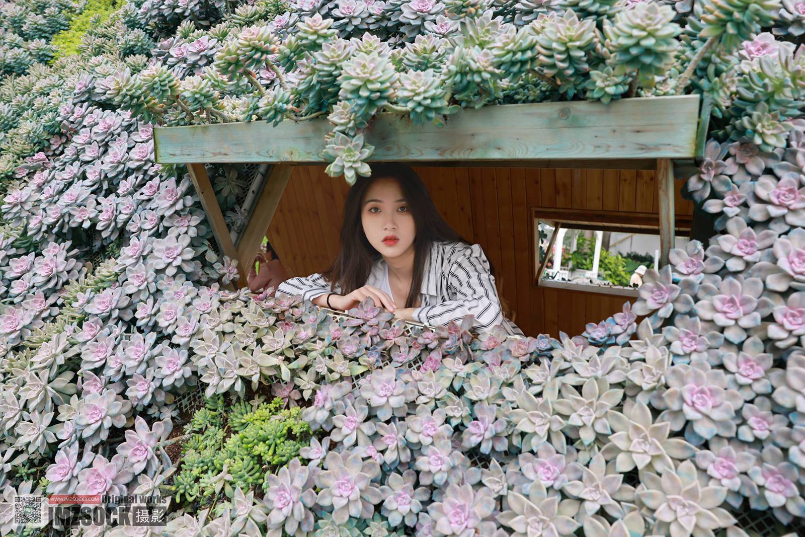 图片[75]-[MZSOCK]爱美足 NO.253 迪佳[79P] – 速更版-美库