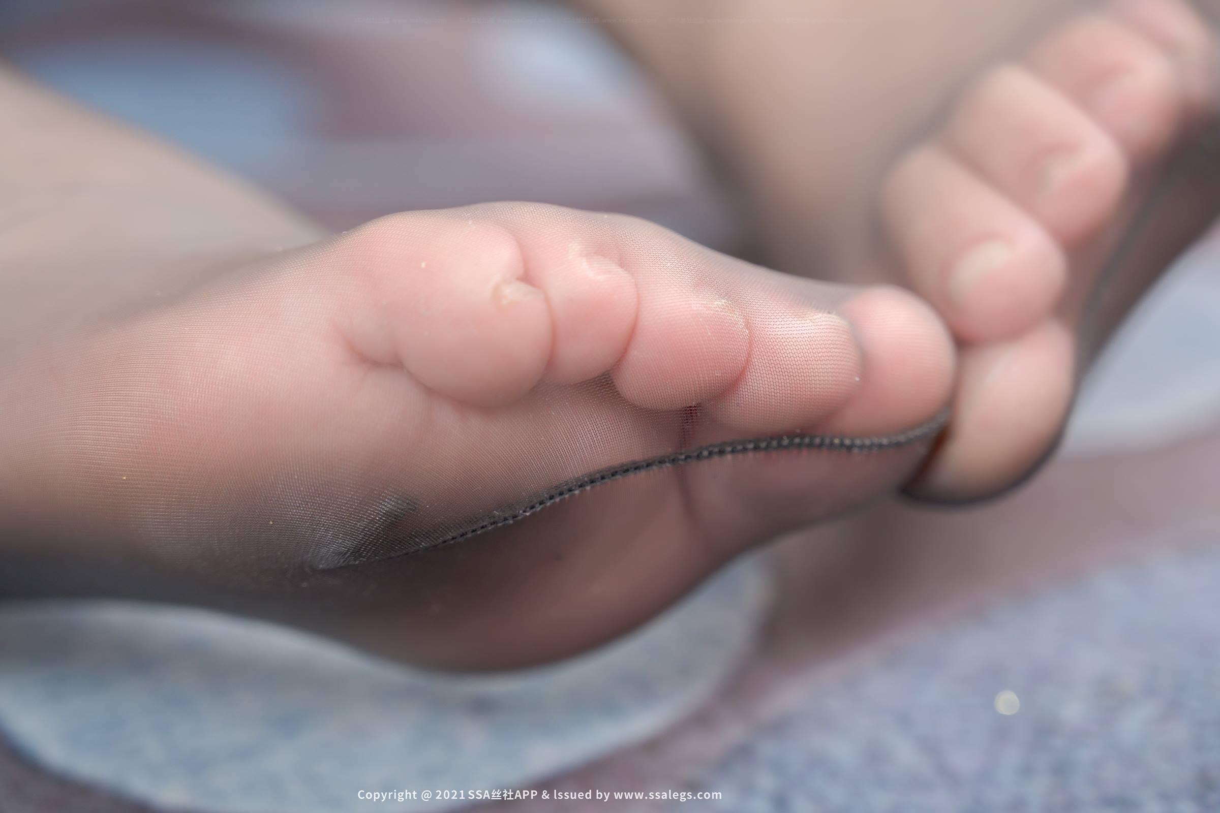 图片[18]-[SSA丝社]超清写真 NO.801 模特CC的绫丝袜美腿（下）[109P] – 速更版-美库