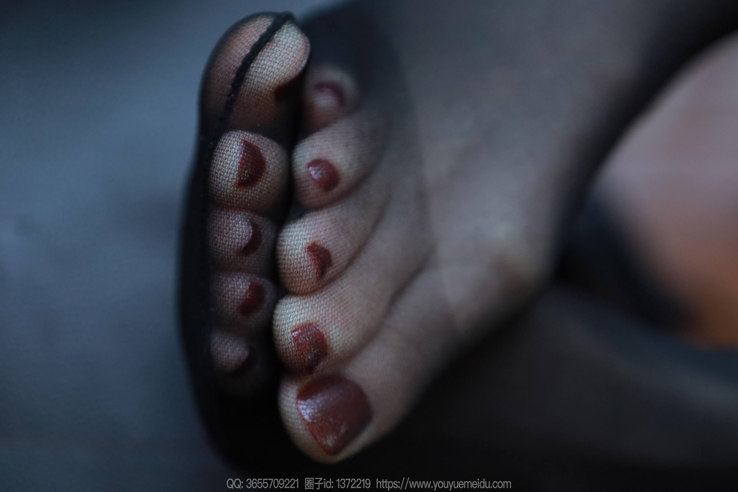 图片[48]-[IESS异思趣向] 2023.12.20 丝享家1616：团团《乌黑红润》[88P] – 速更版-美库