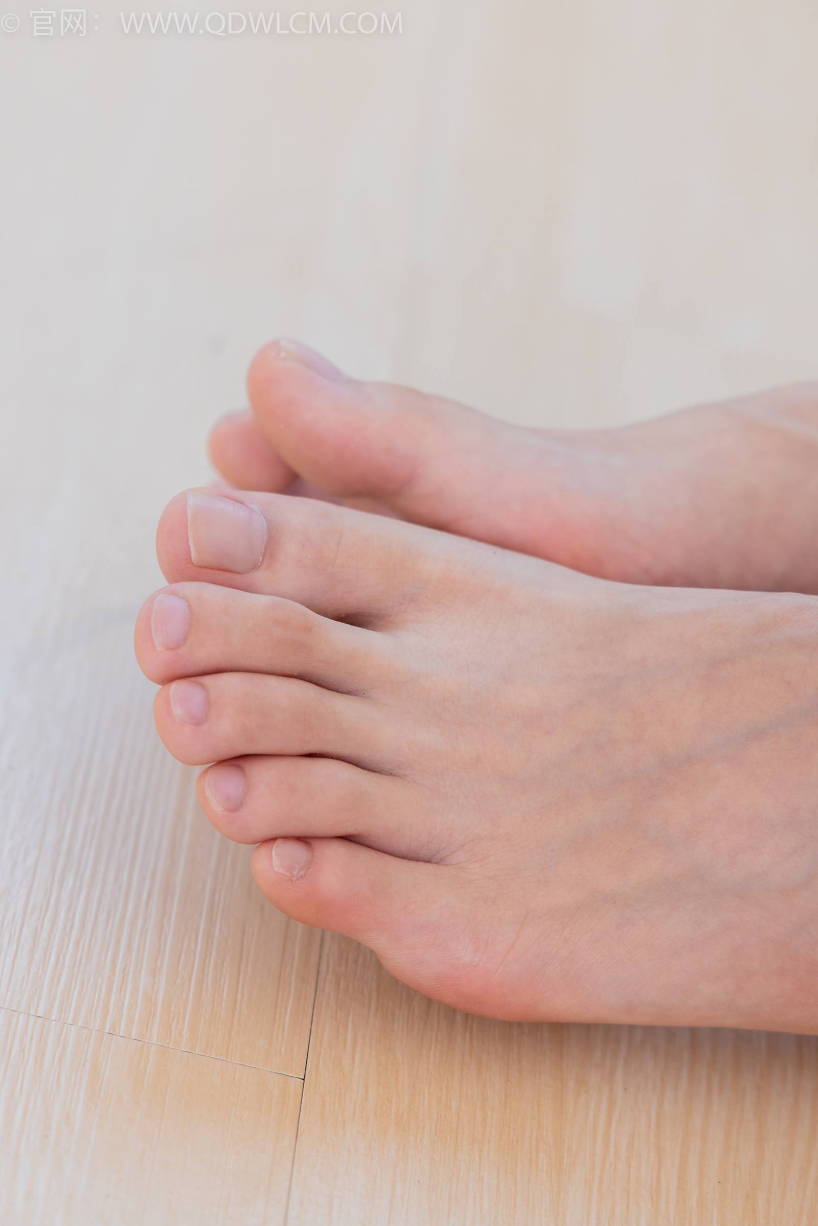 图片[62]-物恋传媒 NO.1778 茯苓-玫瑰绽放[180P] – 速更版-美库