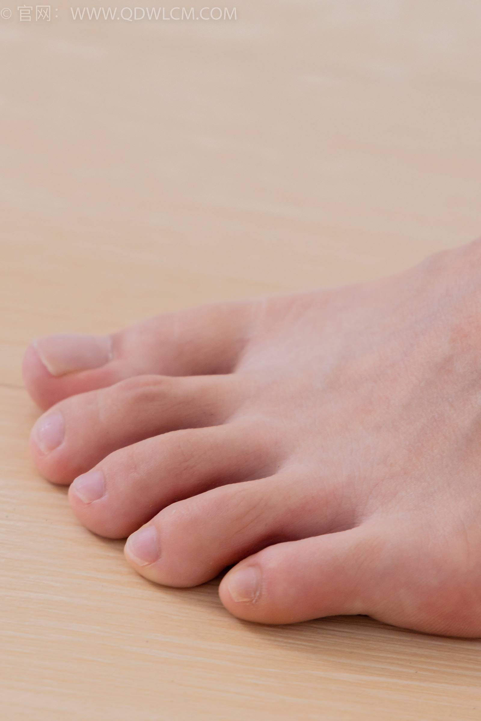 图片[81]-物恋传媒 NO.1778 茯苓-玫瑰绽放[180P] – 速更版-美库