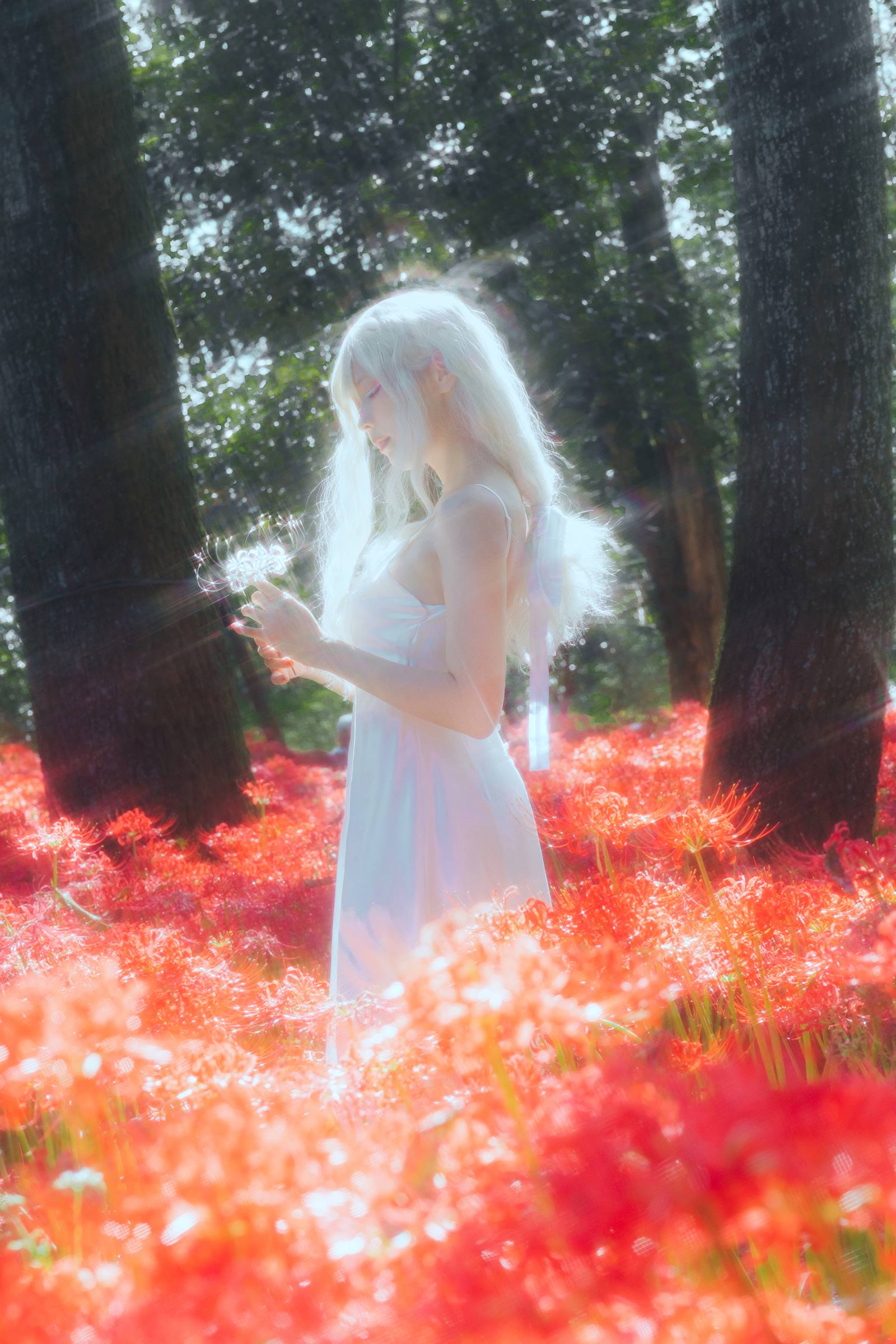 图片[13]-ElyEE子 B-White spider lily 白瓷彼岸 [27P] – 速更版-美库