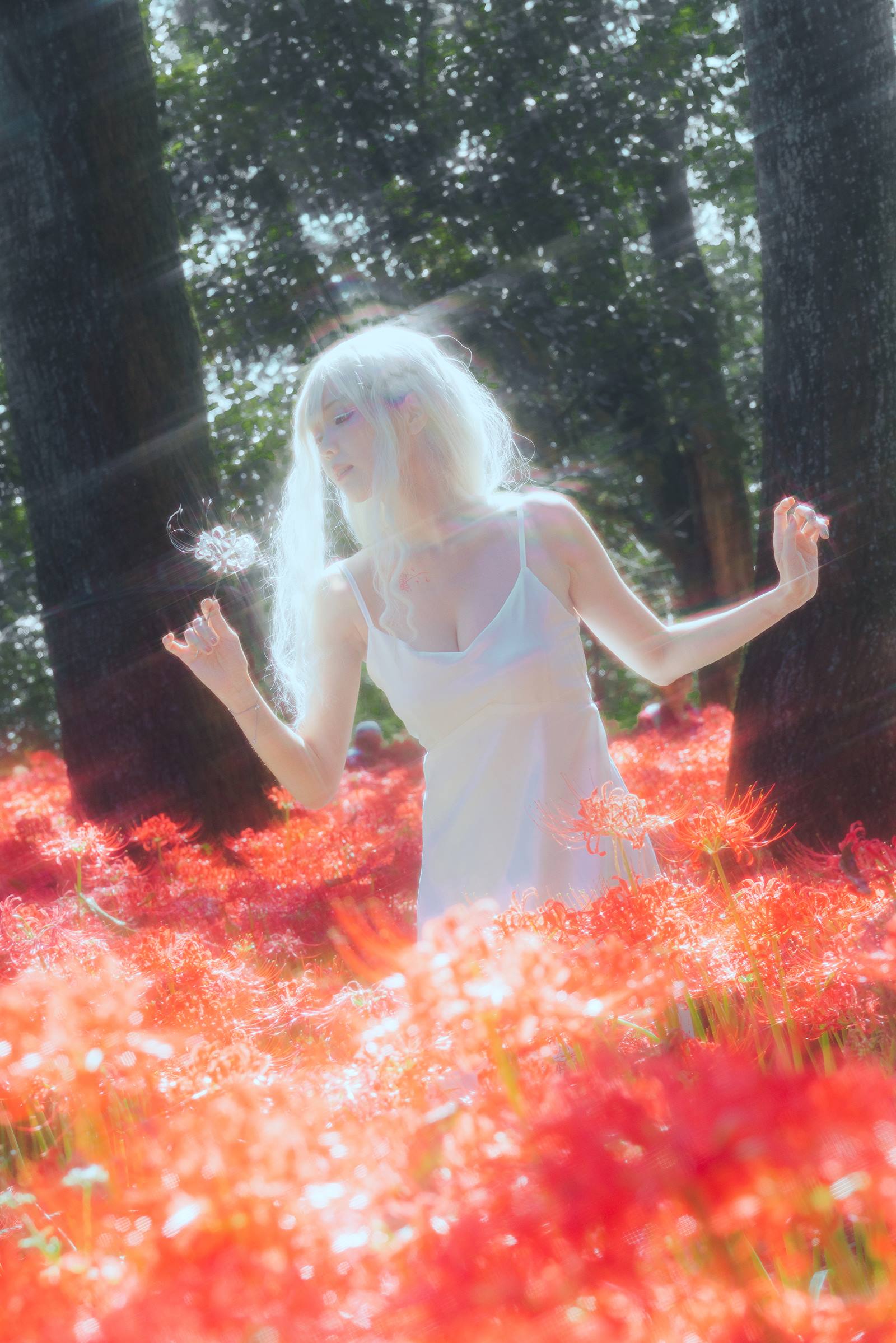 图片[14]-ElyEE子 B-White spider lily 白瓷彼岸 [27P] – 速更版-美库