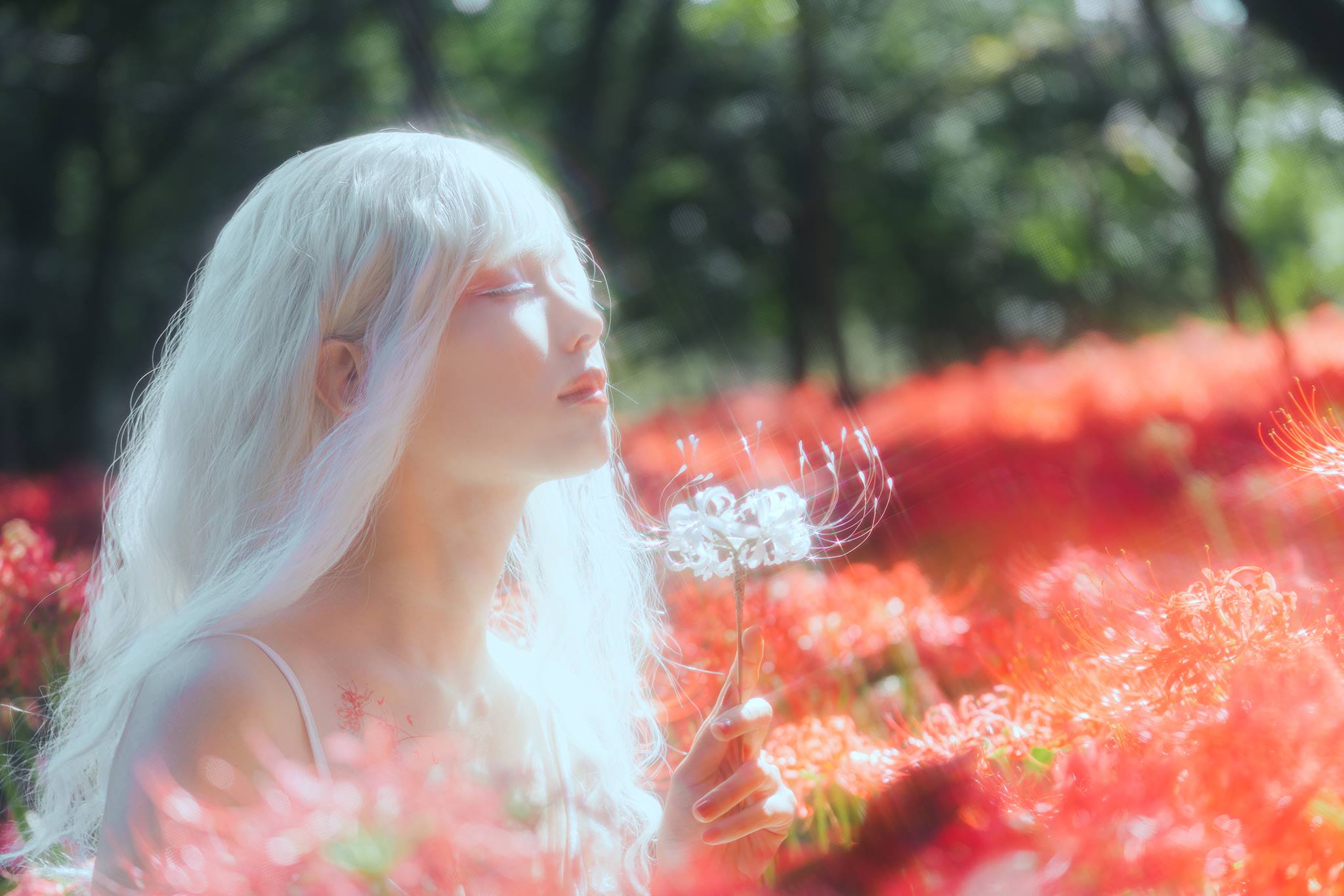 图片[15]-ElyEE子 B-White spider lily 白瓷彼岸 [27P] – 速更版-美库