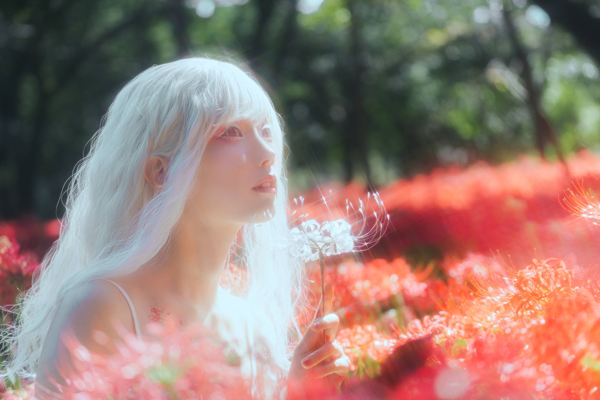 图片[16]-ElyEE子 B-White spider lily 白瓷彼岸 [27P] – 速更版-美库