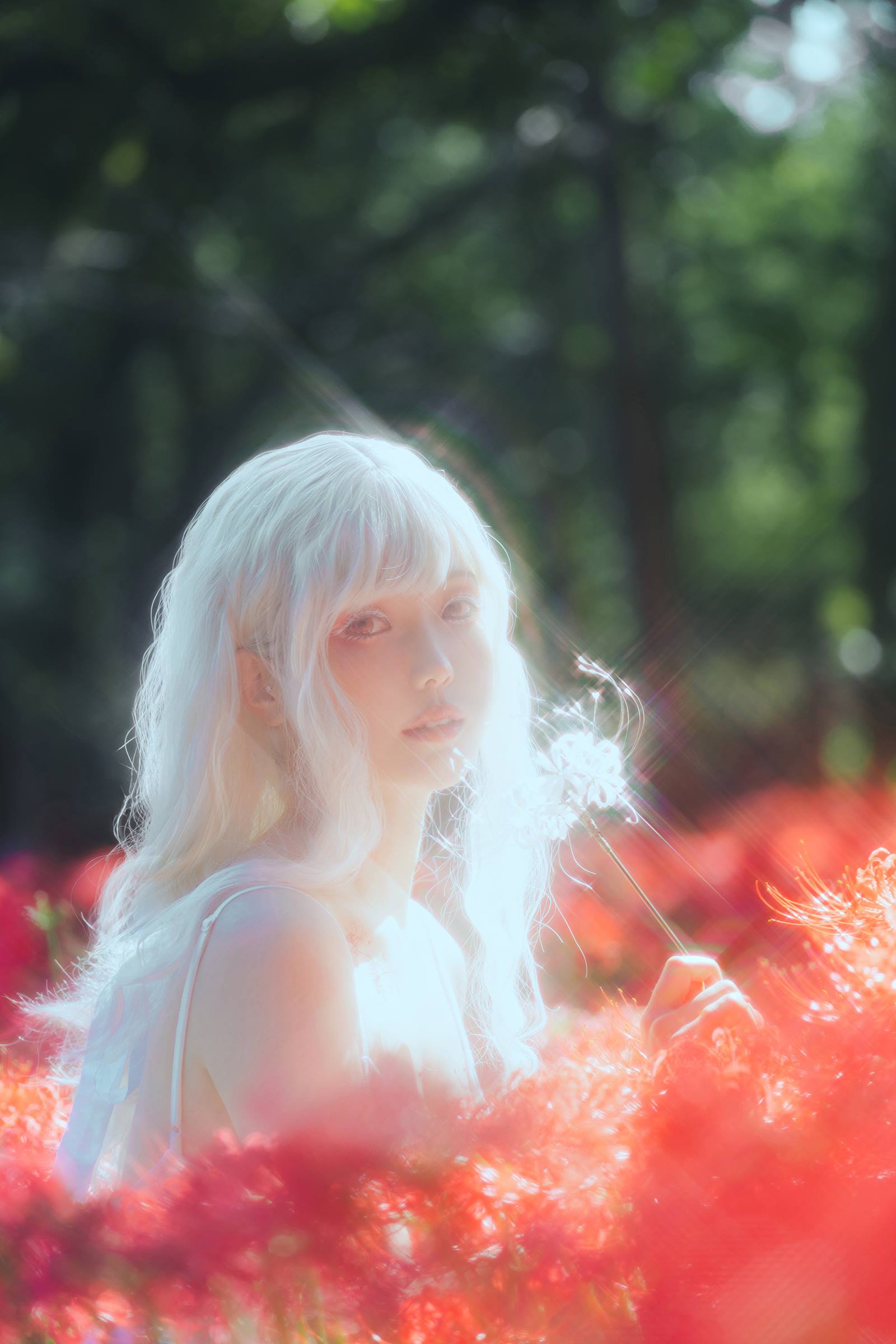 图片[17]-ElyEE子 B-White spider lily 白瓷彼岸 [27P] – 速更版-美库