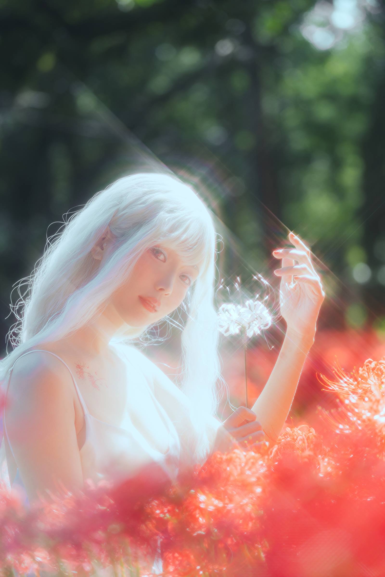 图片[18]-ElyEE子 B-White spider lily 白瓷彼岸 [27P] – 速更版-美库