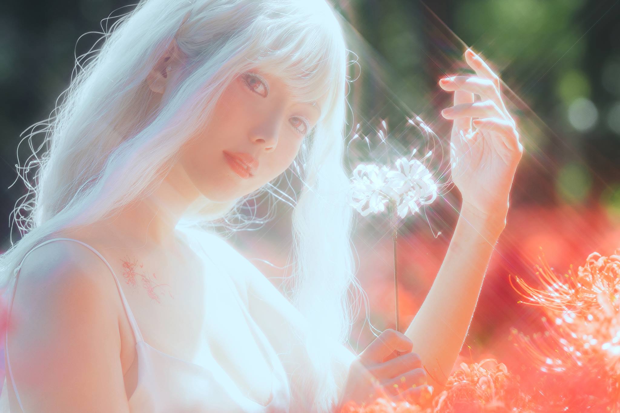 图片[19]-ElyEE子 B-White spider lily 白瓷彼岸 [27P] – 速更版-美库