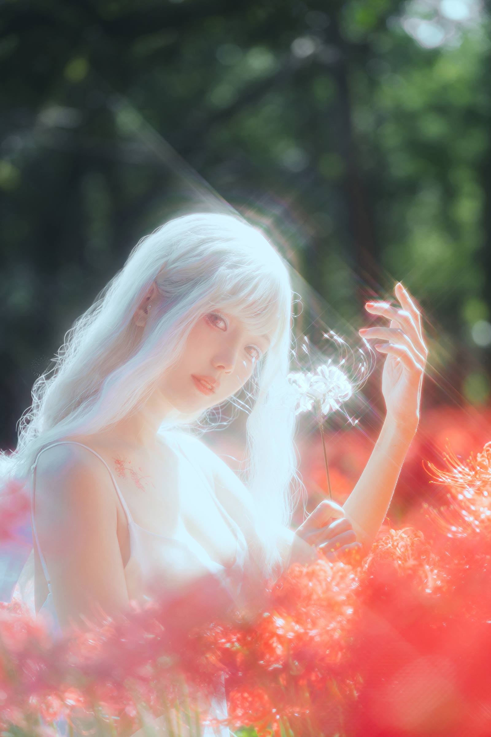 图片[20]-ElyEE子 B-White spider lily 白瓷彼岸 [27P] – 速更版-美库