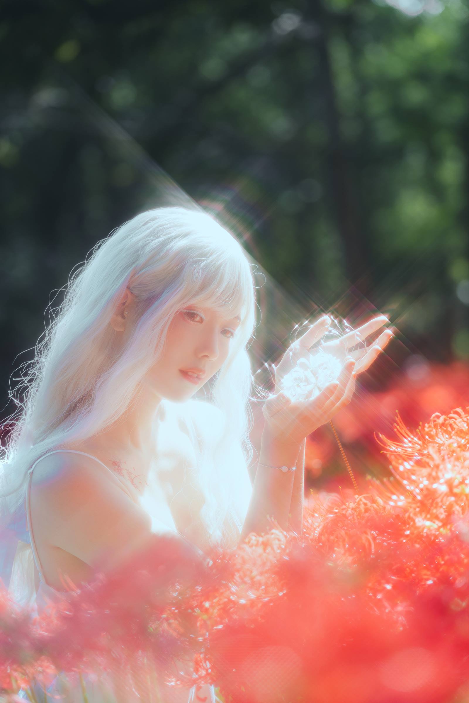 图片[21]-ElyEE子 B-White spider lily 白瓷彼岸 [27P] – 速更版-美库