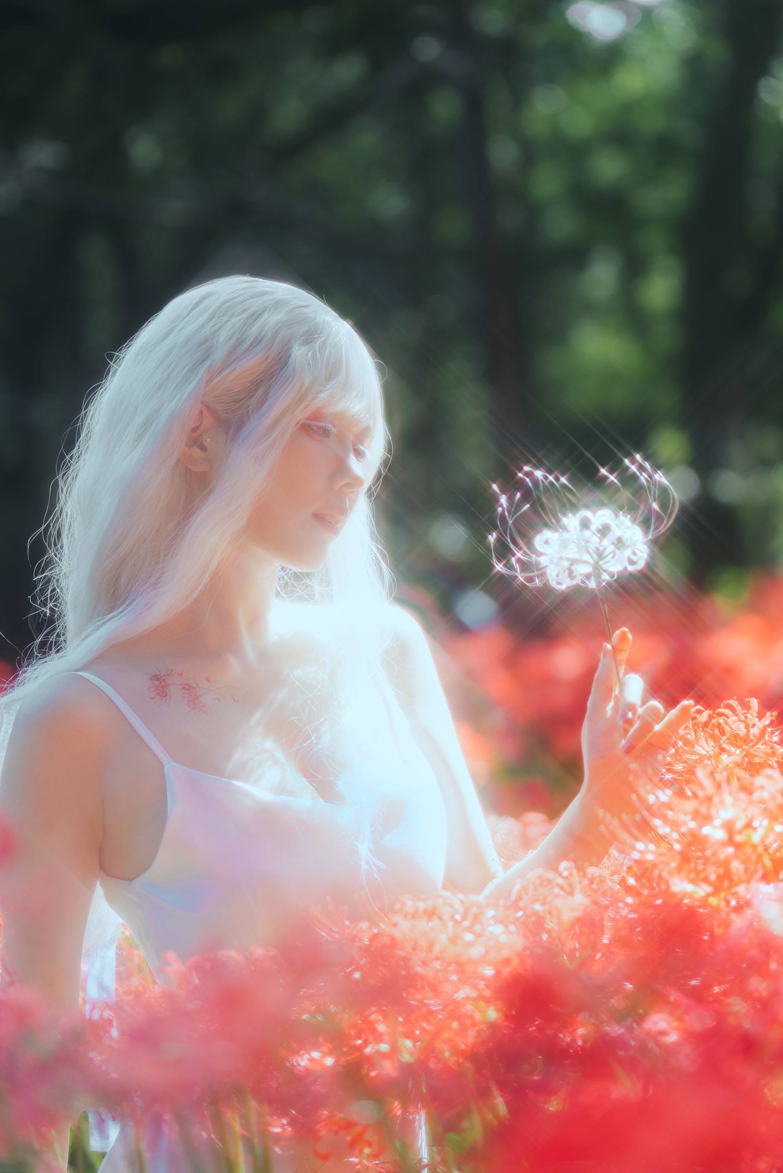 图片[23]-ElyEE子 B-White spider lily 白瓷彼岸 [27P] – 速更版-美库