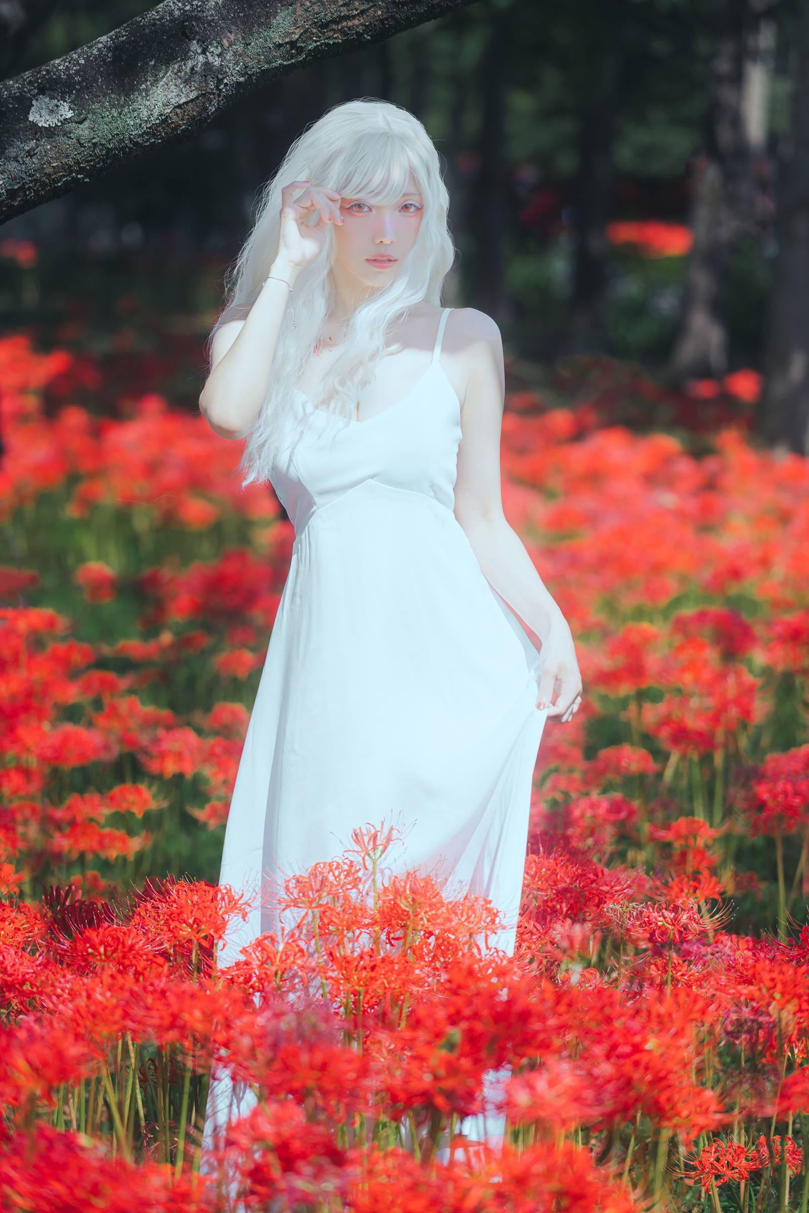 图片[24]-ElyEE子 B-White spider lily 白瓷彼岸 [27P] – 速更版-美库