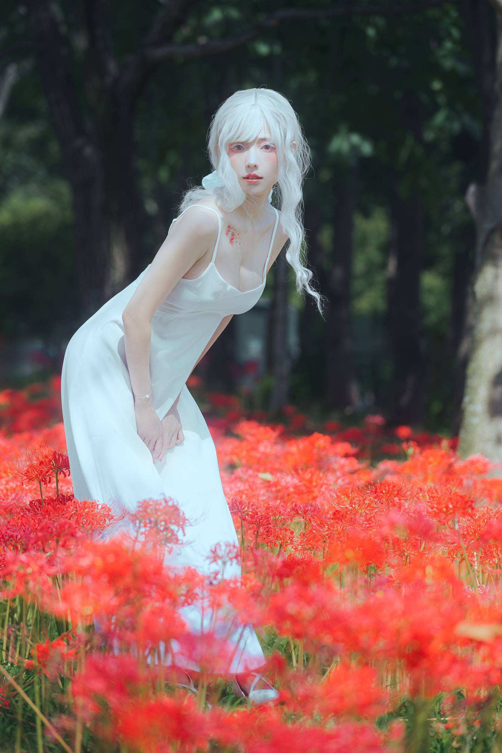 图片[28]-ElyEE子 B-White spider lily 白瓷彼岸 [27P] – 速更版-美库