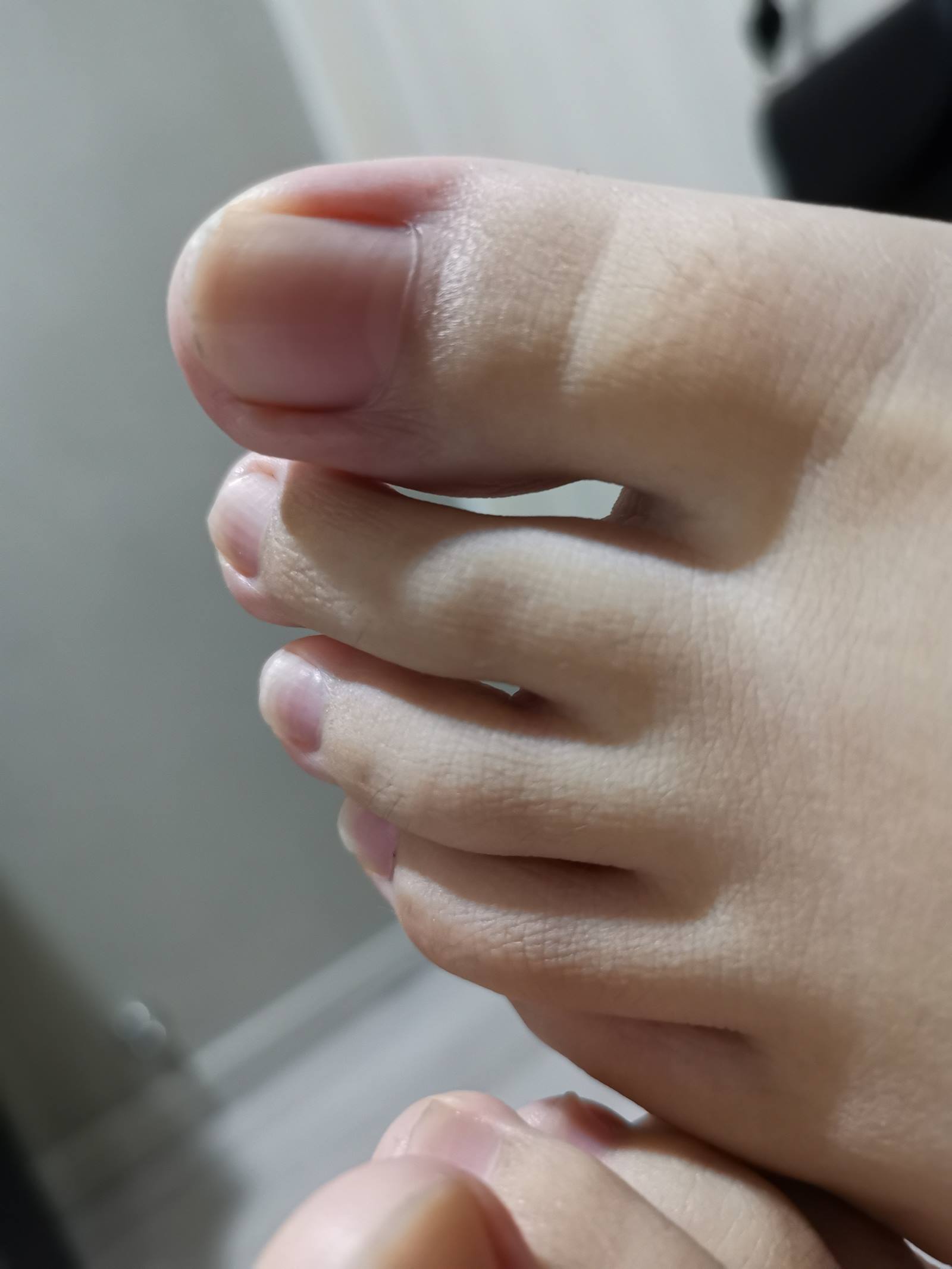 鱼鱼足影@001-第01期：杨杨 [134P] - 速更版-绅士图