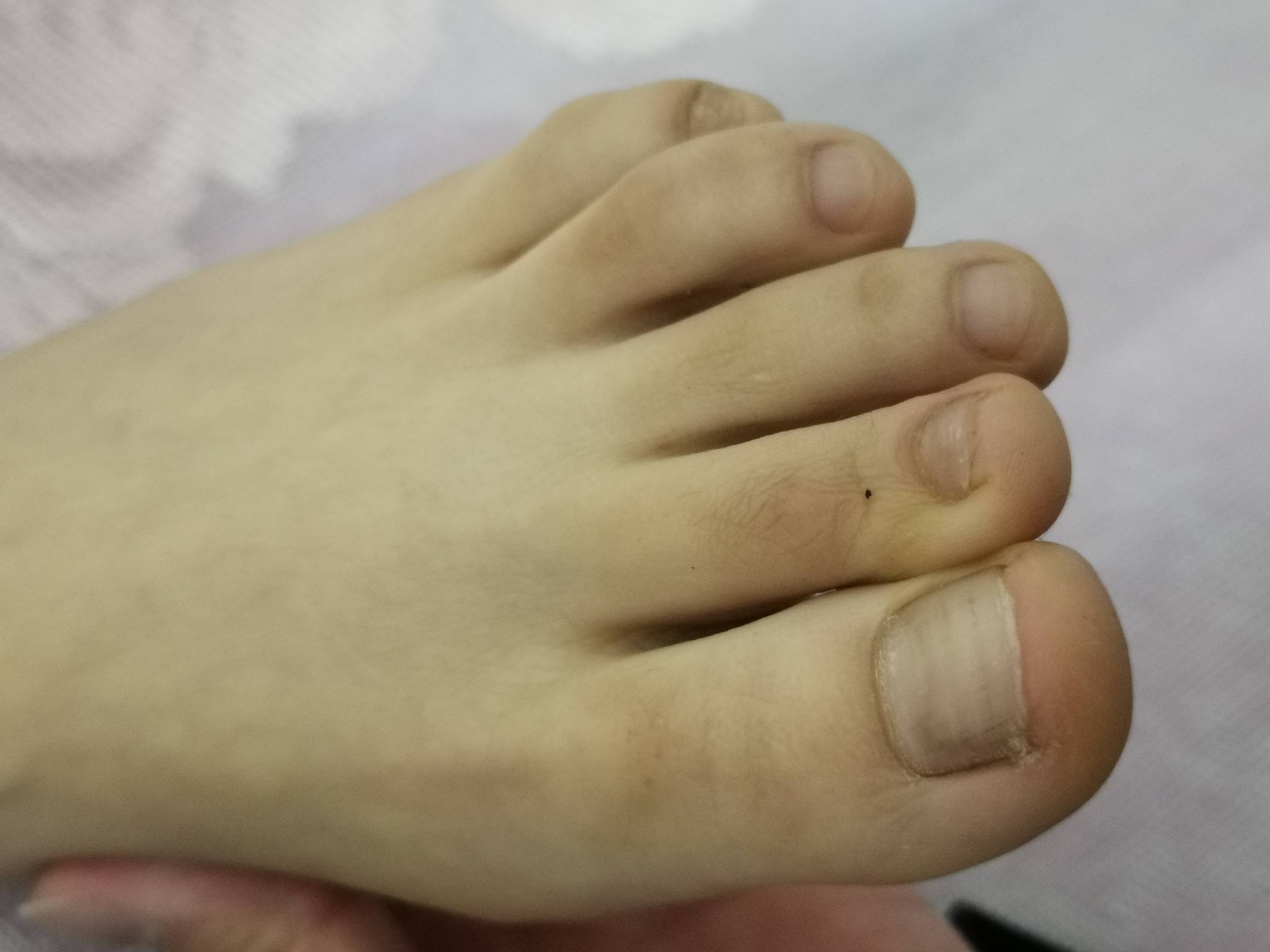 图片[40]-鱼鱼足影@010-第10期：Lucky[190P] – 速更版-美库