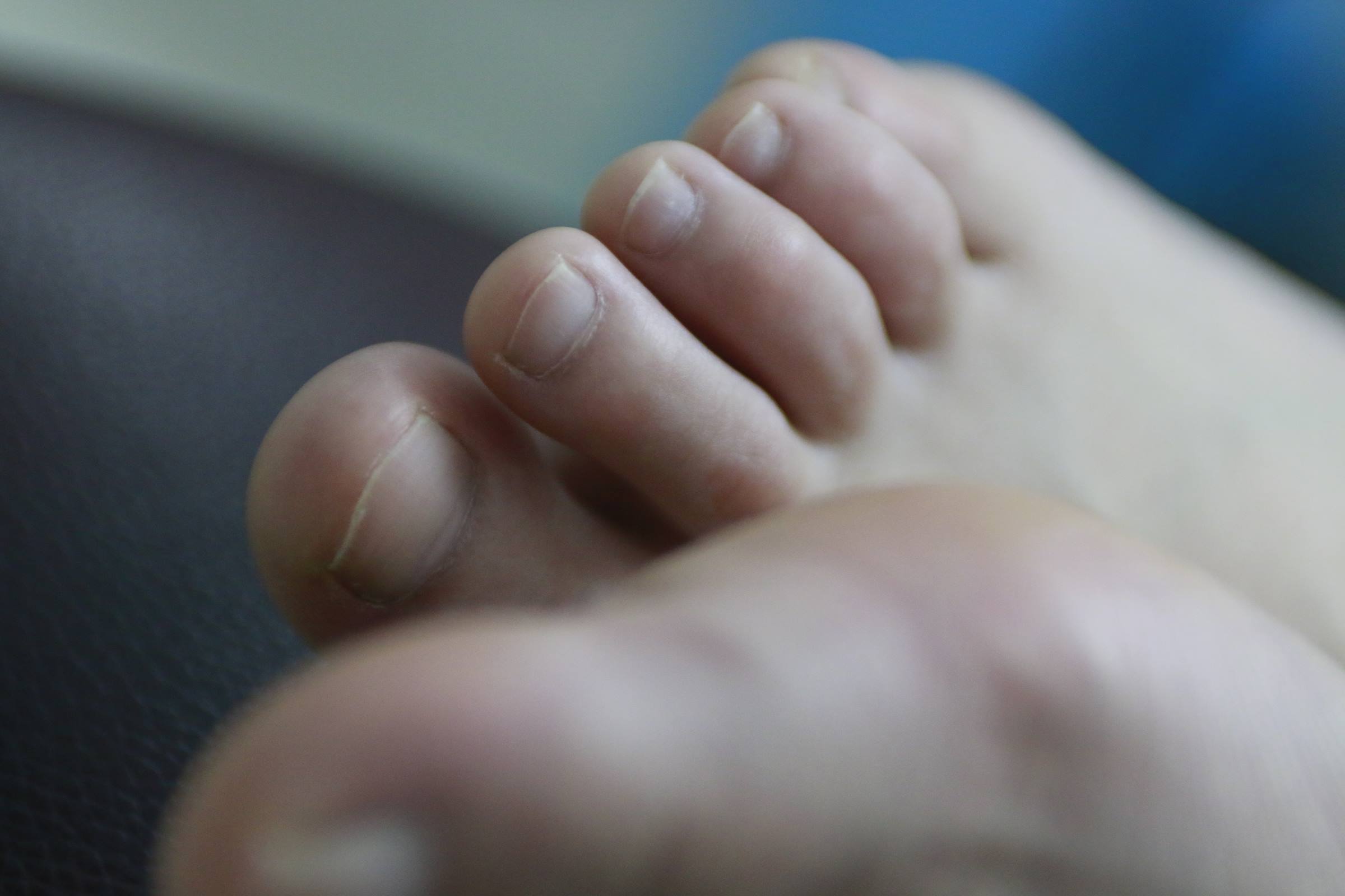 图片[50]-鱼鱼足影@009-第09期：晶晶 [100P] – 速更版-美库