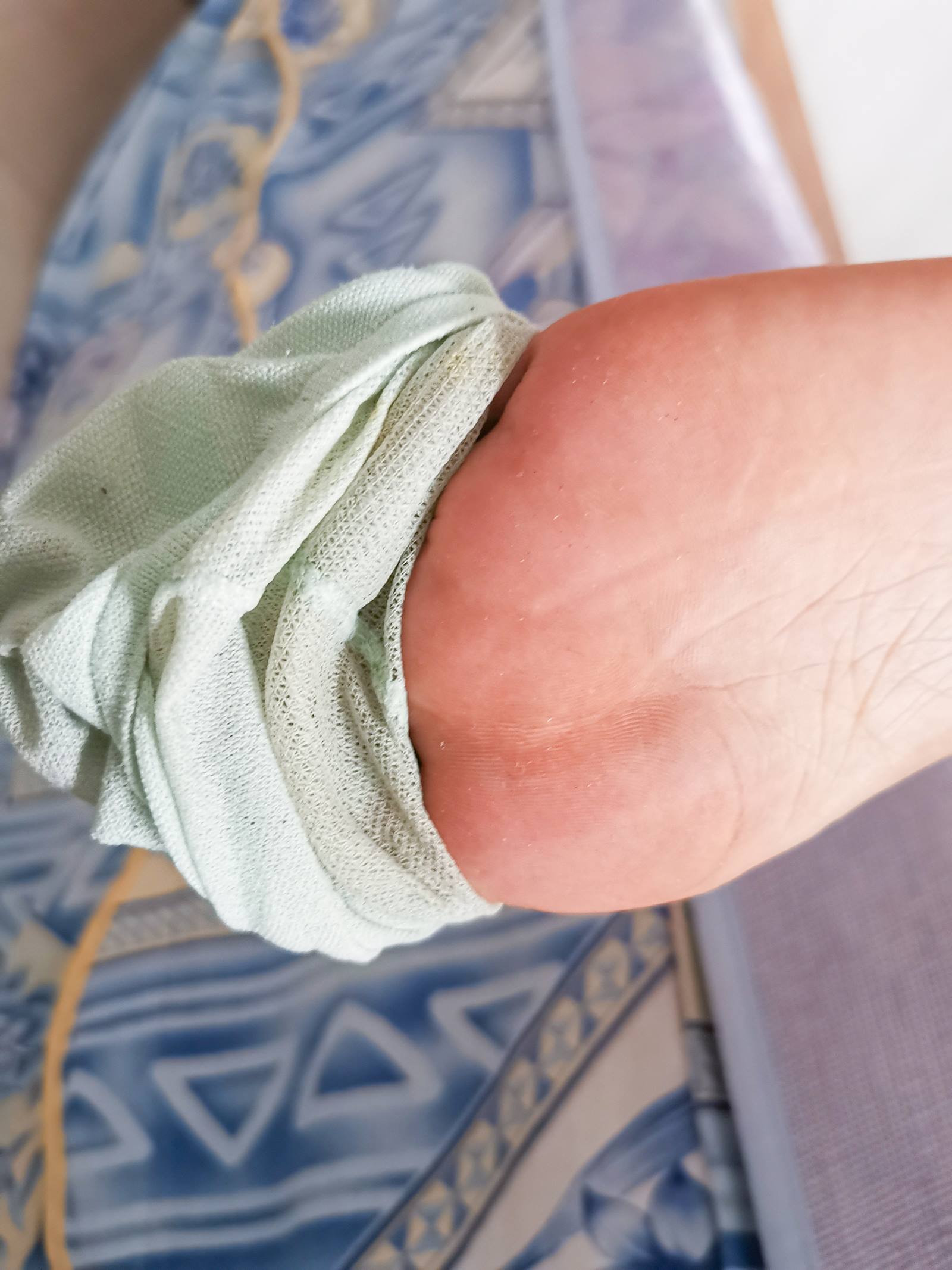 图片[15]-鱼鱼足影@012-第12期：长隆[54P] – 速更版-美库