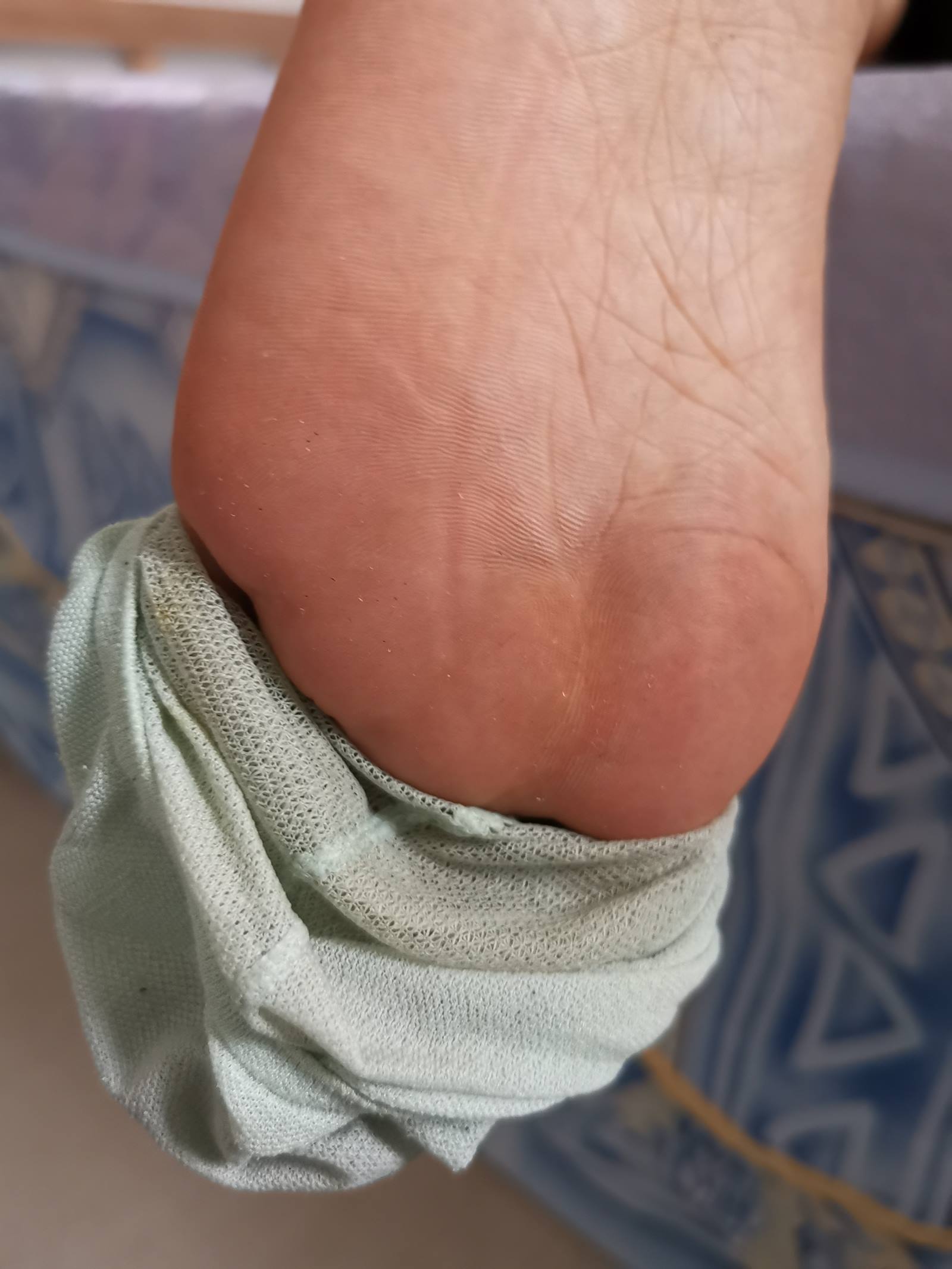 图片[16]-鱼鱼足影@012-第12期：长隆[54P] – 速更版-美库